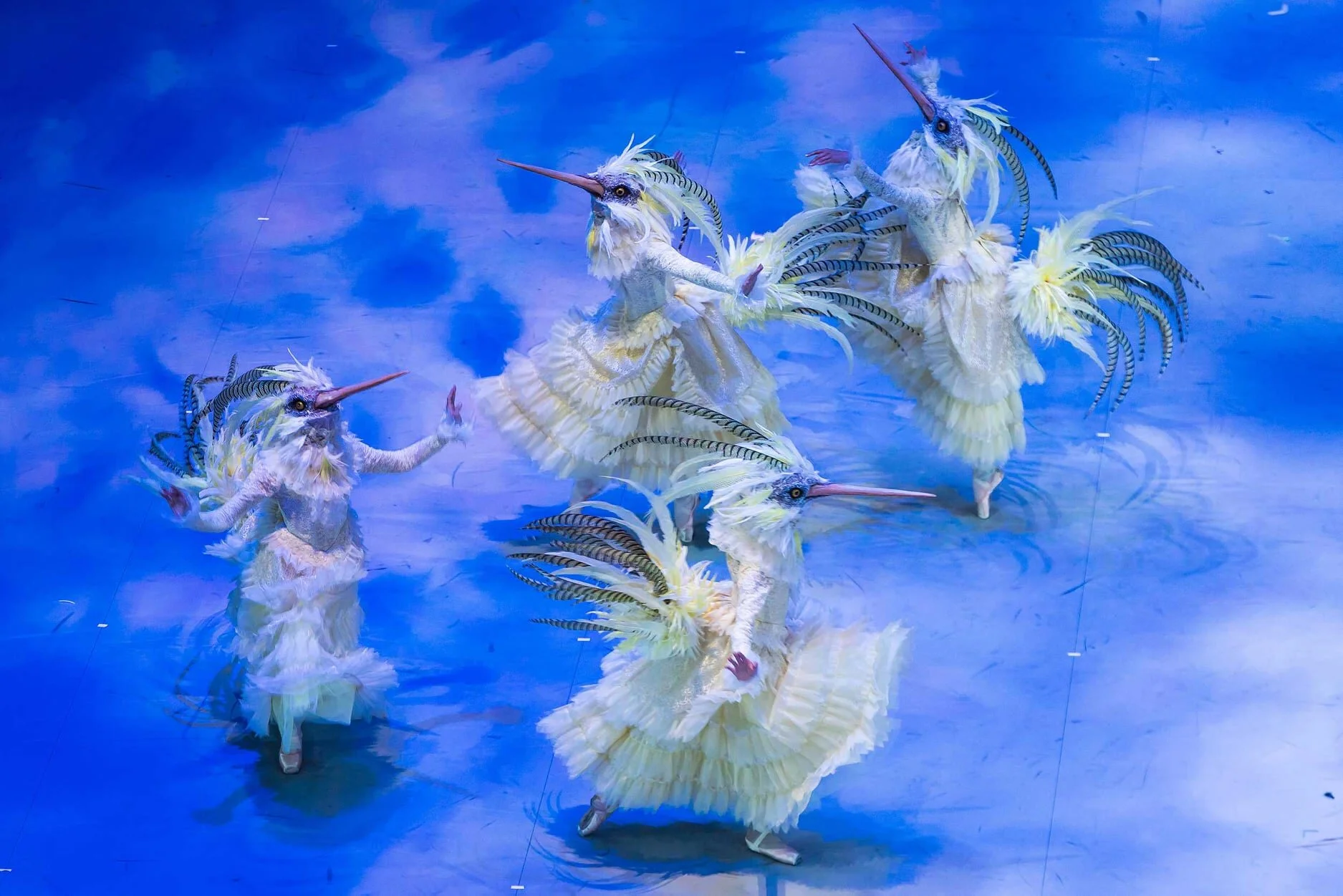 Cinderella - English National Ballet