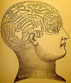 Phrenology.jpg