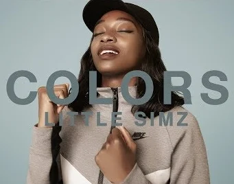 Performance: Little Simz - Backseat