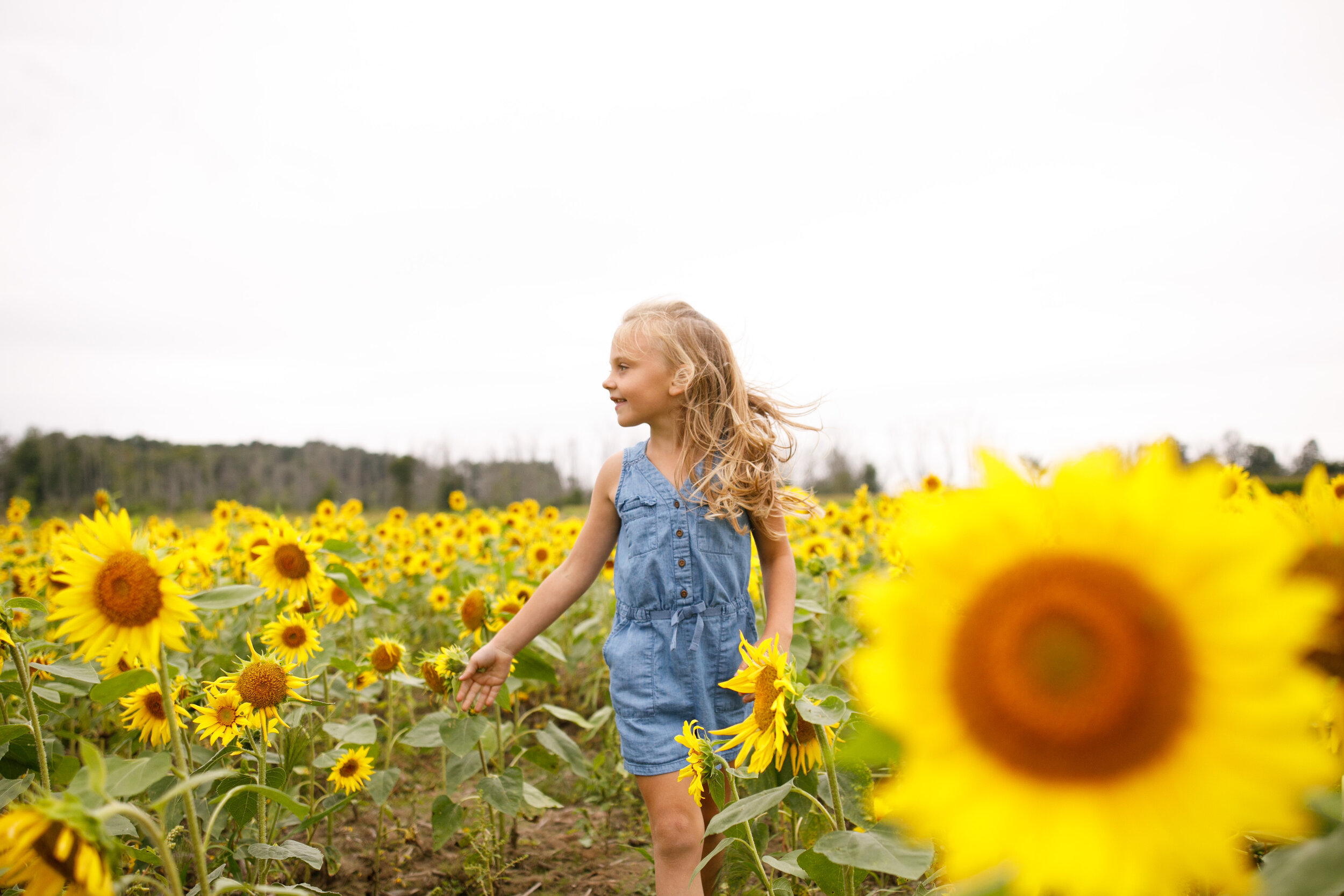 kober sneak peak - ed dunneback and girl - sunflowers - sunflower family session - grand rapids photographer - J Darling Photo008.jpg