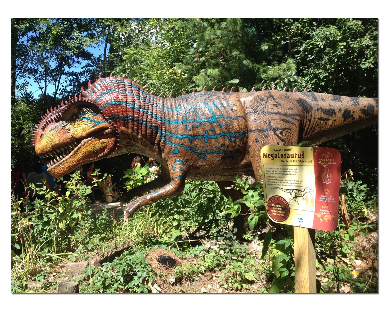dino1.jpg