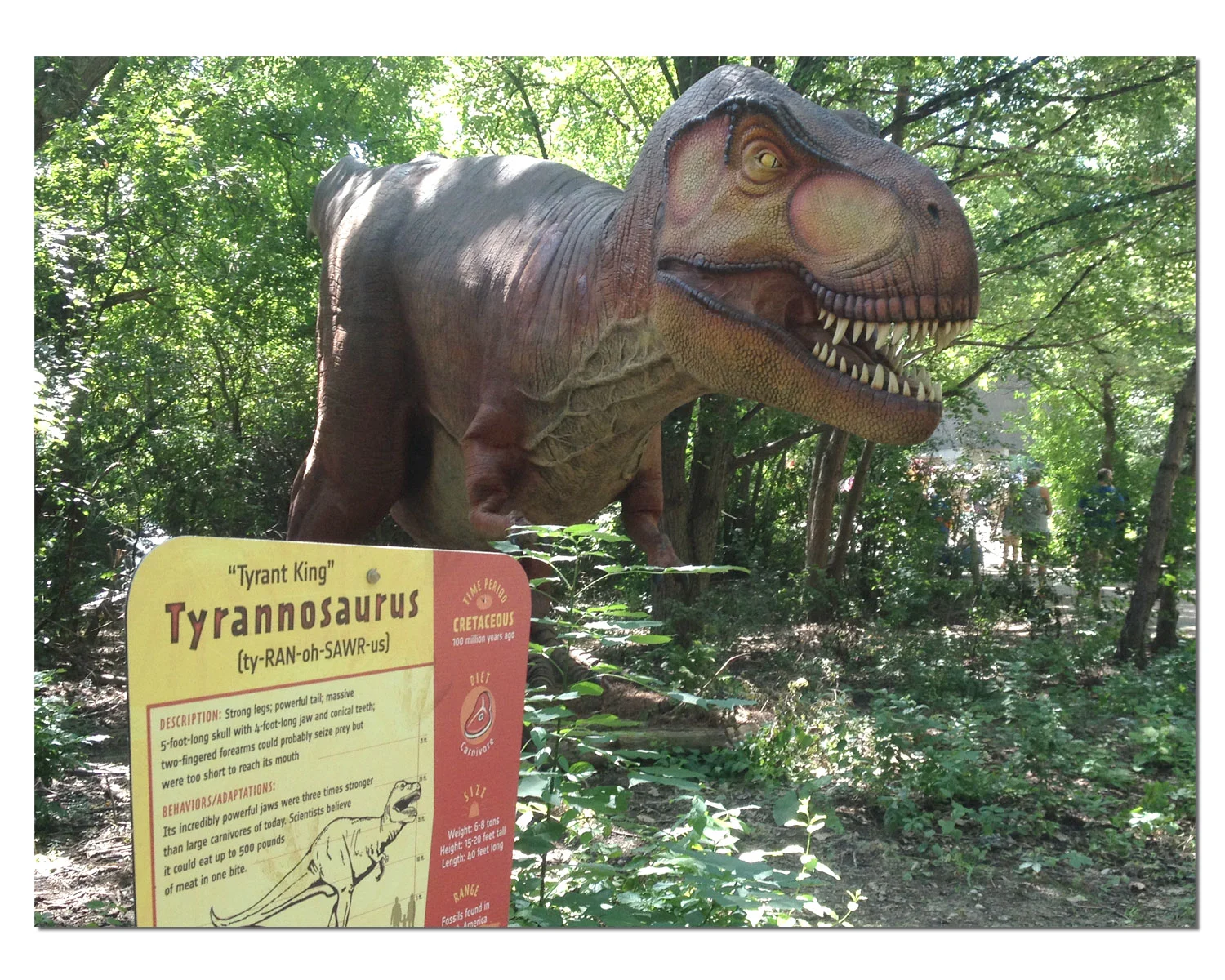 dino3.jpg