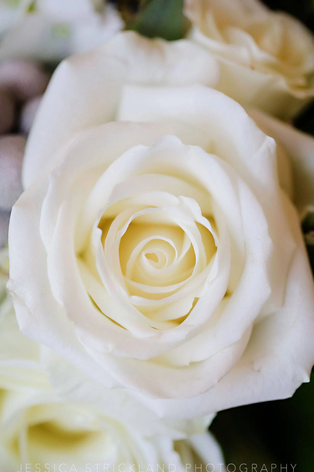 EmilyAndrew-WeddingInspiration-NewYearsEve.jpg
