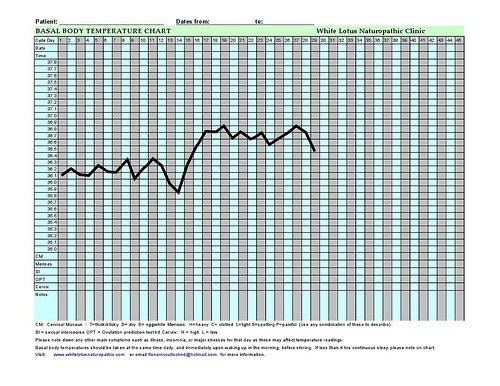 Nourishing Energy Acupuncture -Interpreting BBT charts
