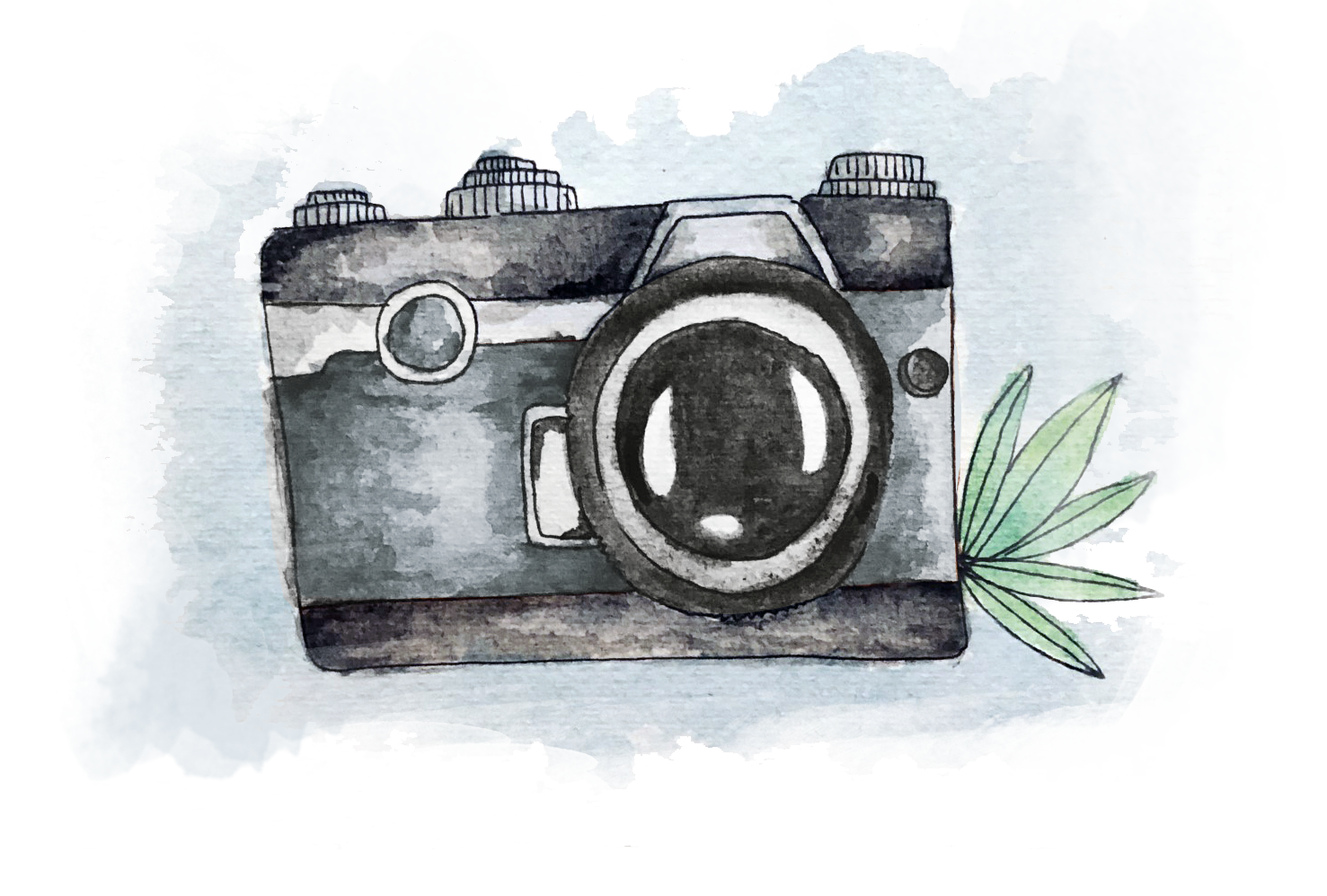 PORTFOLIO.png
