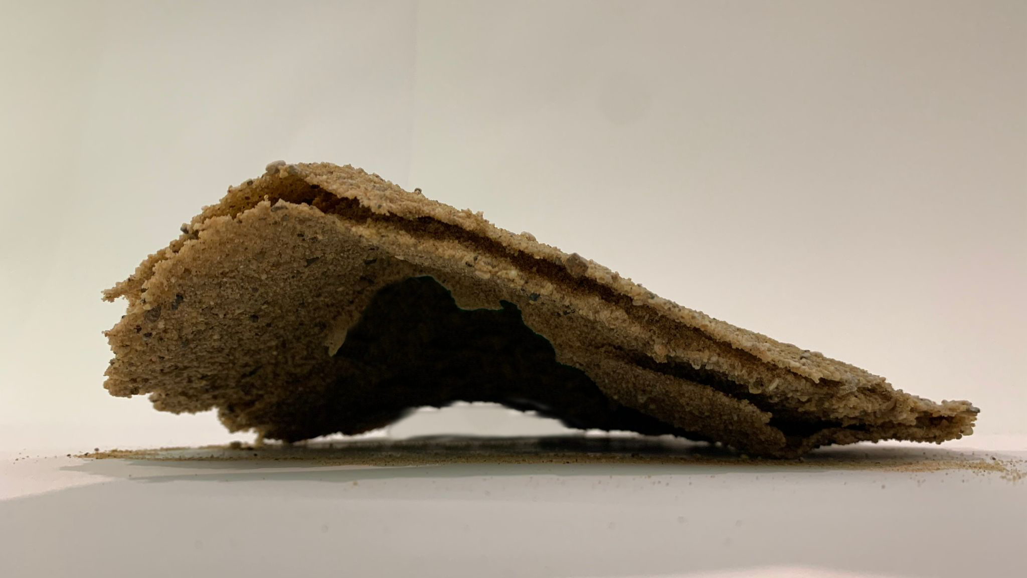 Sentient Rock TS - Phase 2 — AADRL