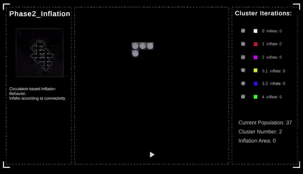 Digital Simulation _Phase2_Inflation.gif