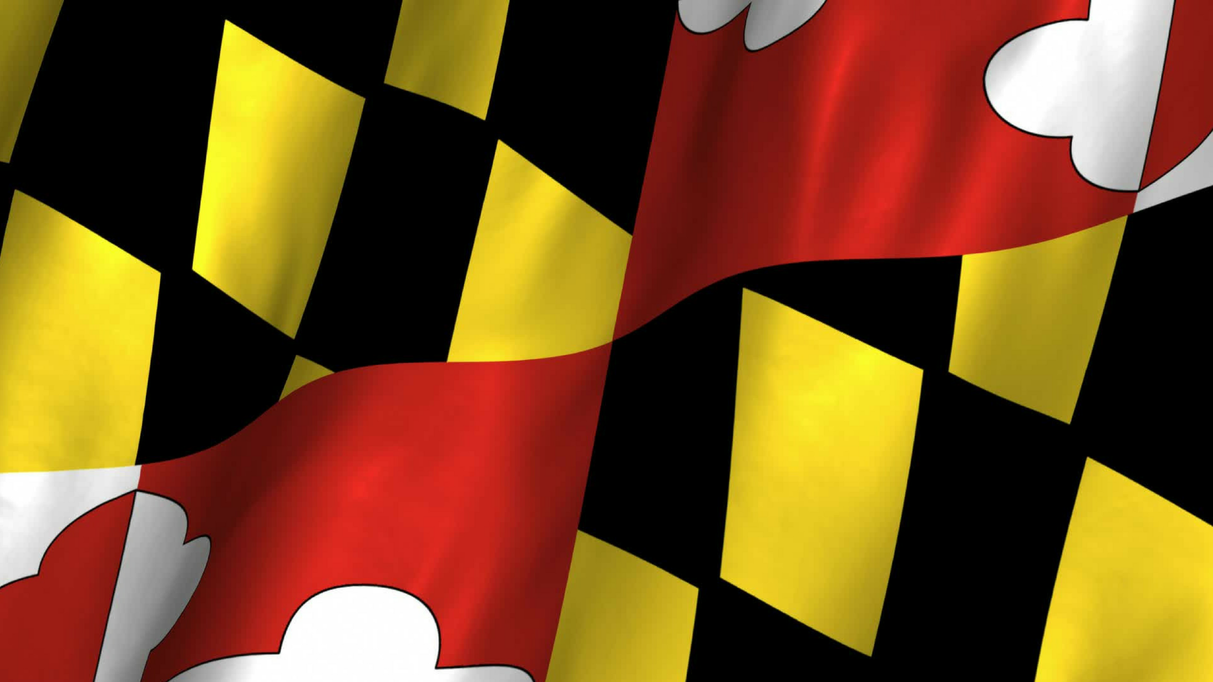 Our Team — Maryland Codes