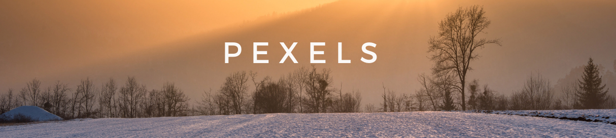 Pexels2.png
