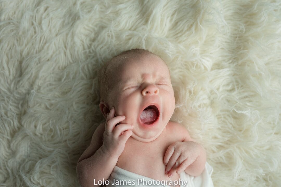 Catching the baby yawn is newborn goals, always.  Am I right?
⠀⠀⠀⠀⠀⠀⠀⠀⠀
#lolojamesphotography #lolojamesnewborn #lolojamesfamilies #appletonphotographer #neenahphotographer #foxcitiesphotographer