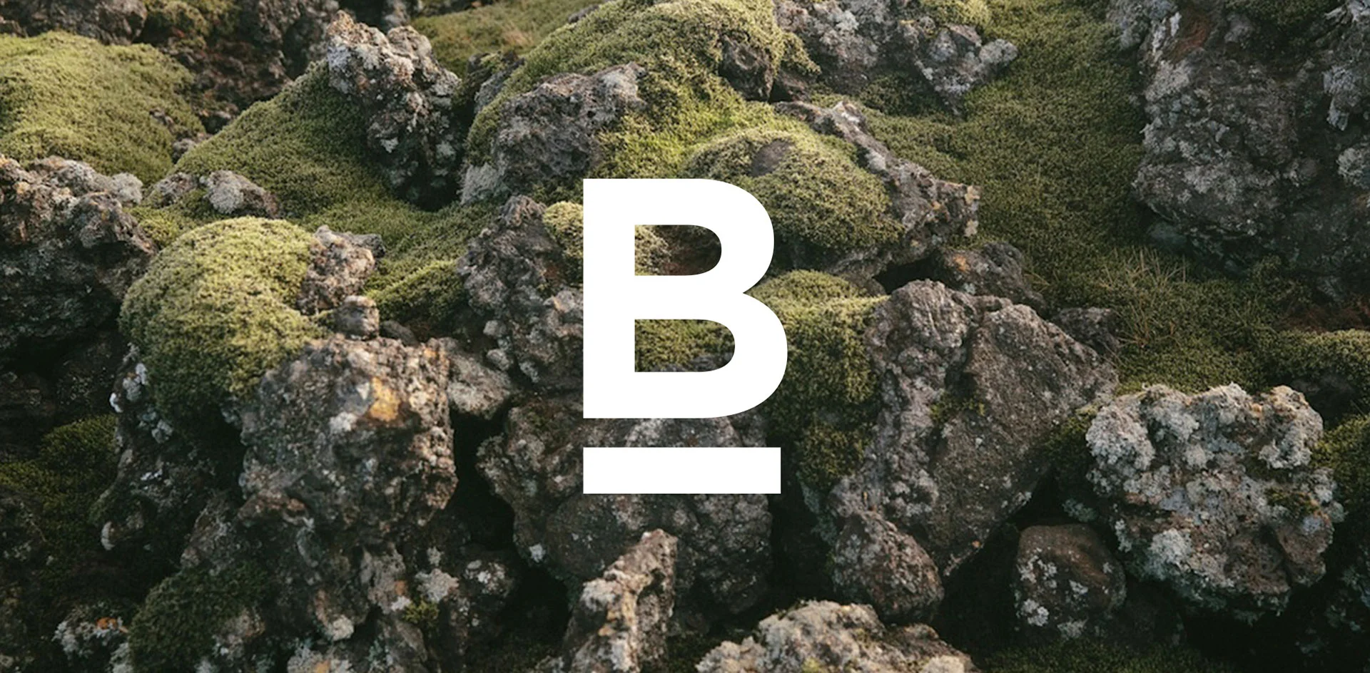 BIS01.jpg