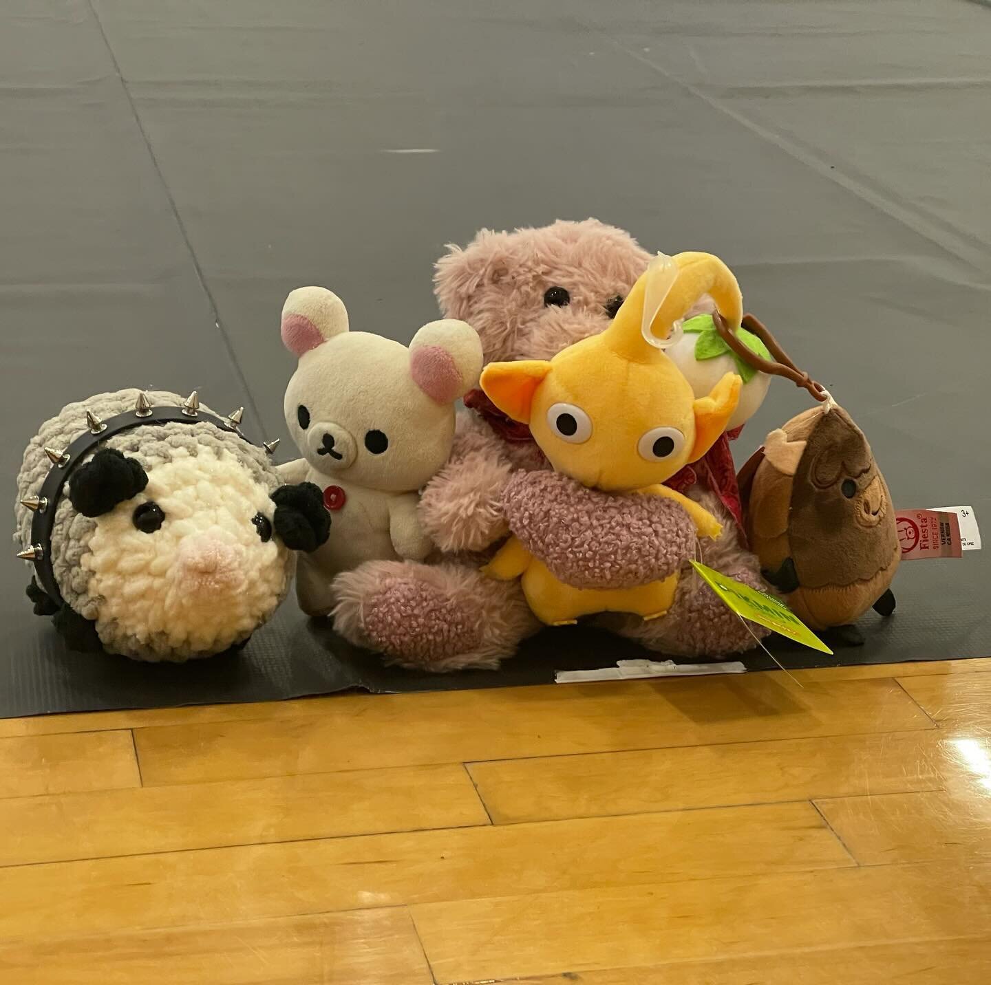 Who (or what) is your 50 mark? This is our little stuffie family! (left to right) Killer the Possum, Button (white bear), Marvin (pink bear), Yellow Pikmin, The Moose 

#winterguard #colorguard #wgi #wgi2024 #winterguardlove #colorguardlove #pnw