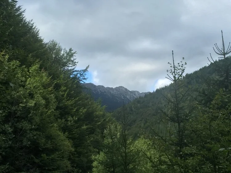 The Financial Times Explores “Europe’s Last Wilderness”