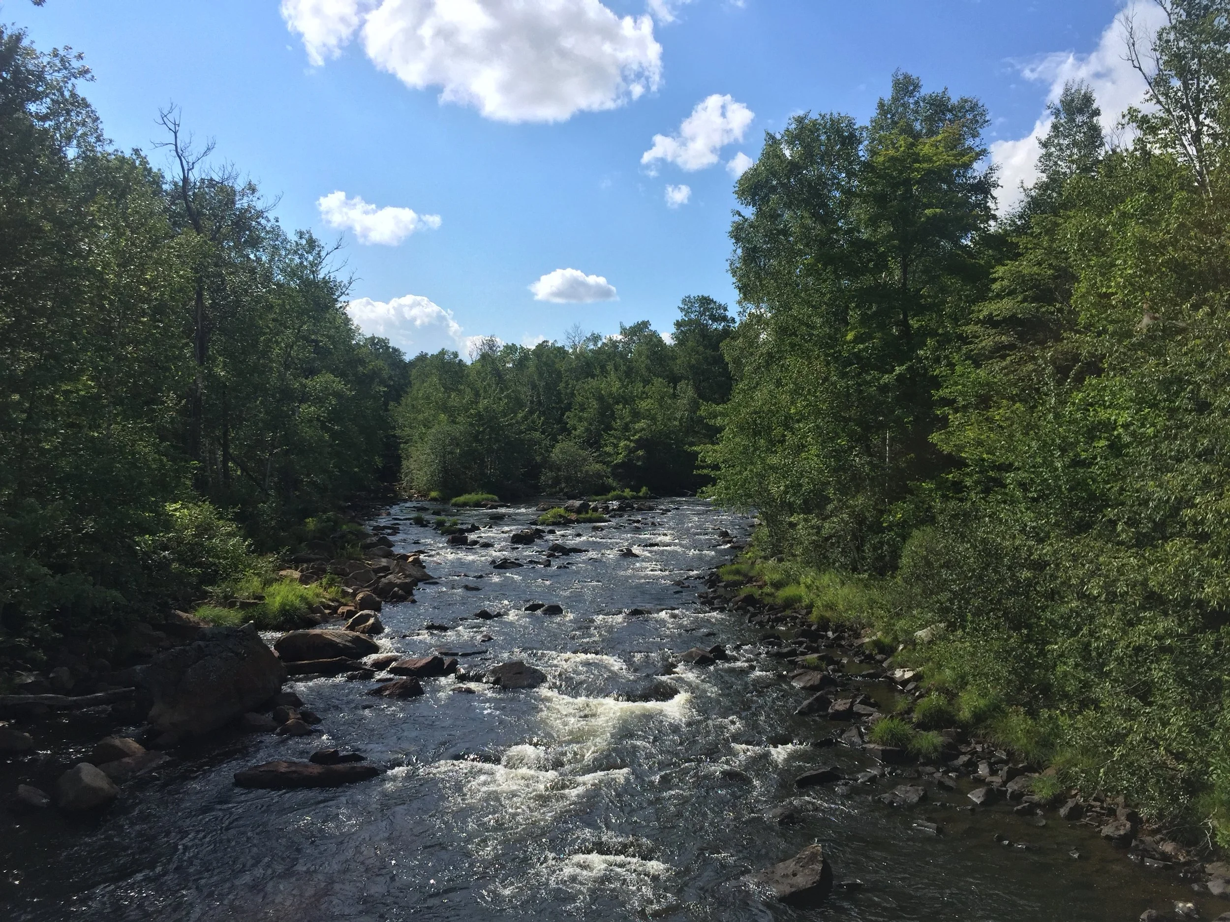 Wyss Scholars at the University of Montana