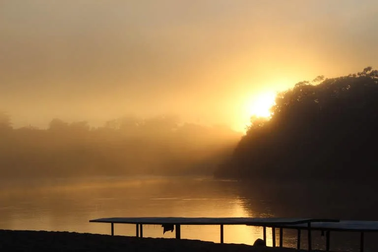 Wyss Scholars Program Supports Future Conservation Leaders at Yale