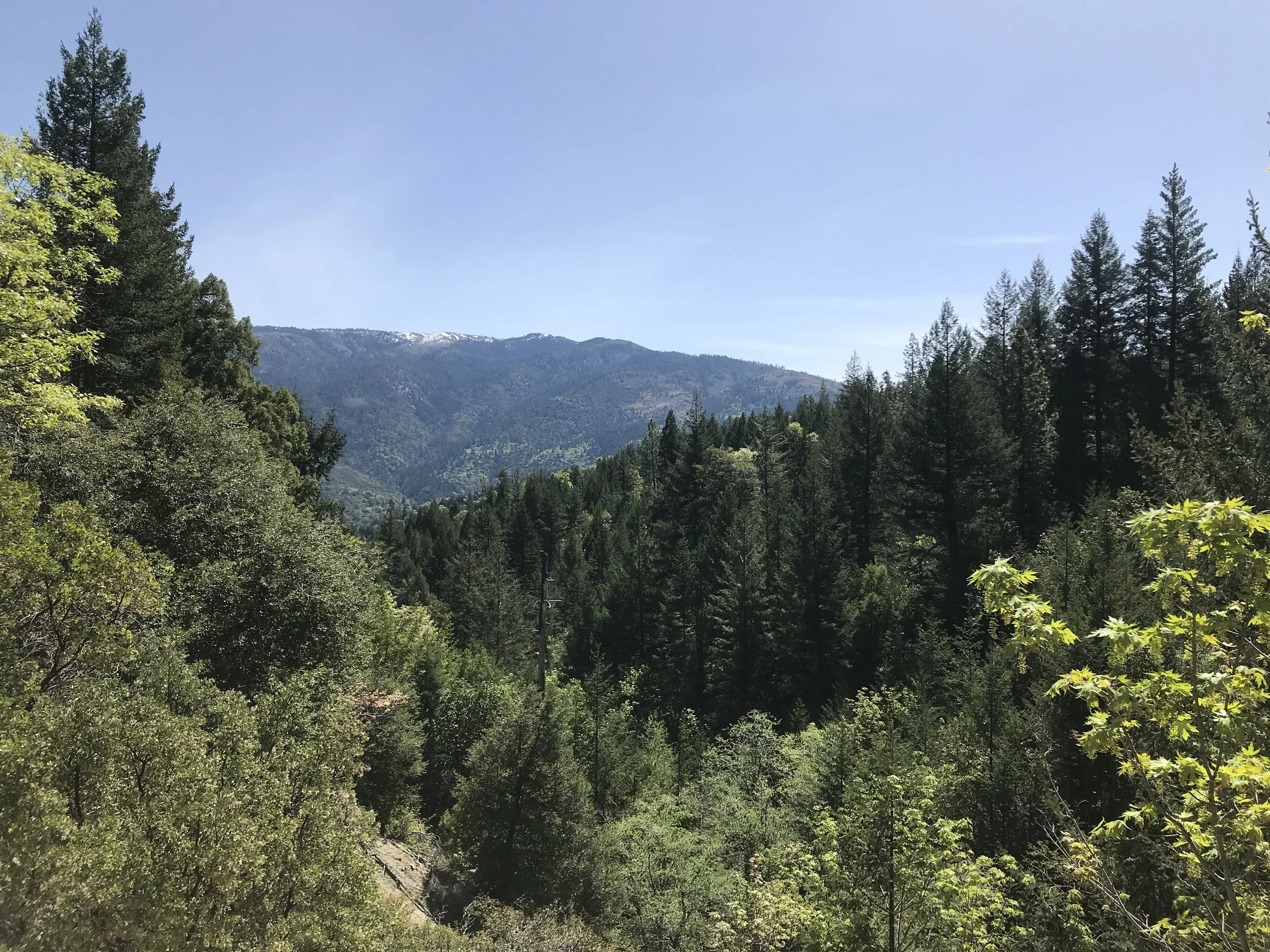 Wyss Foundation Launches $1 Billion Campaign