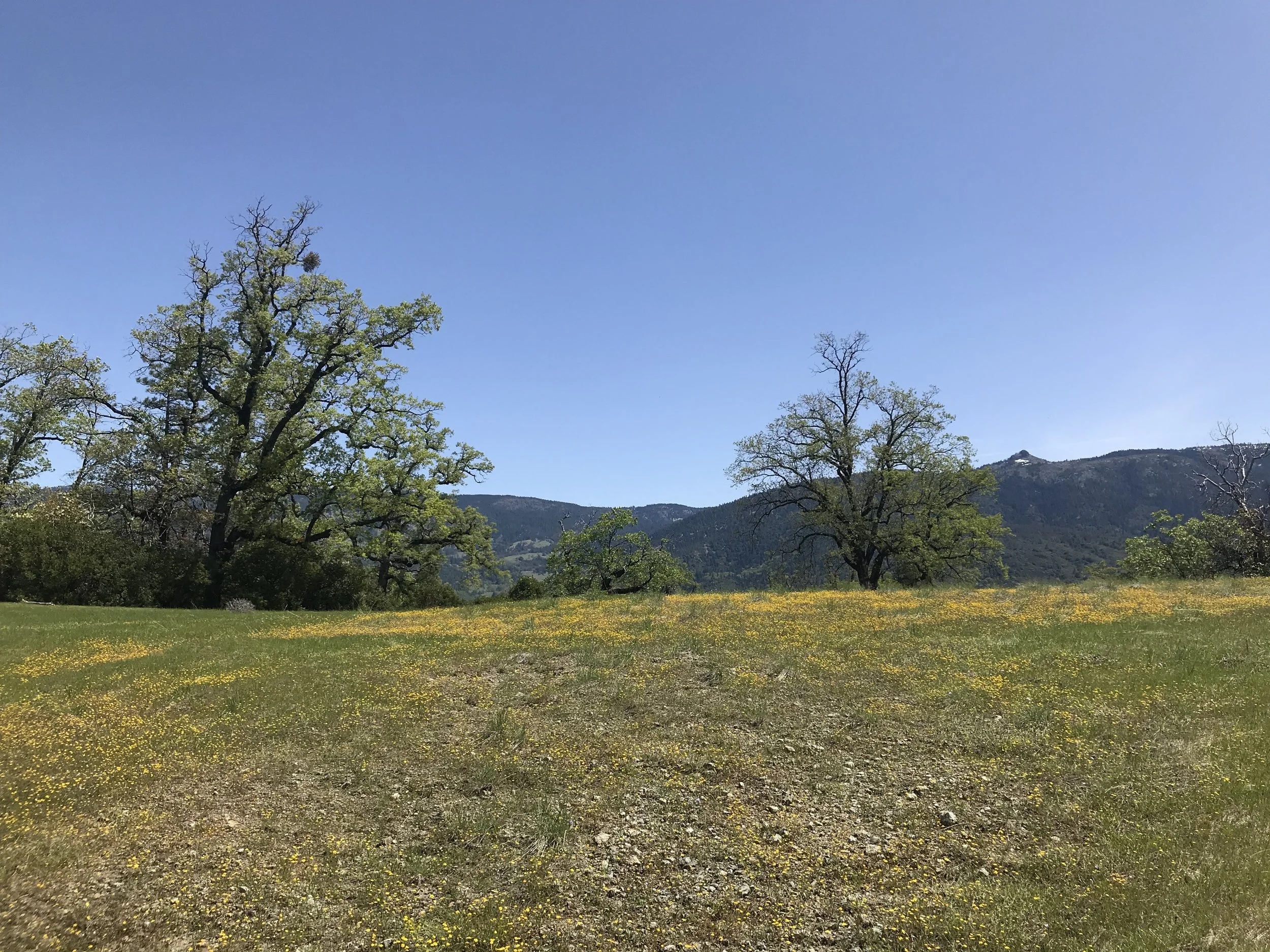 Conservationists Go Big in Montana