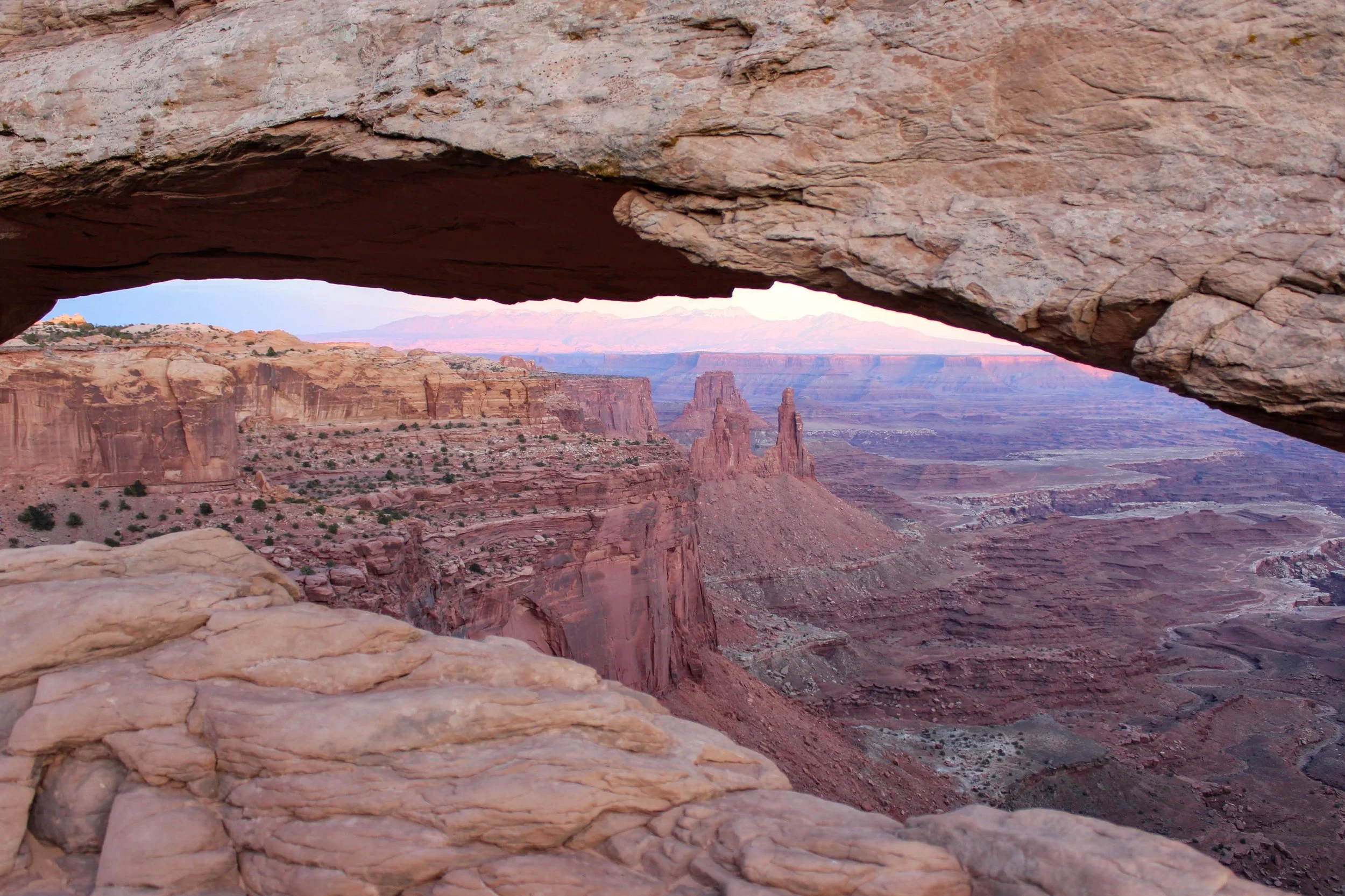 2024 Wyss Scholars Selected