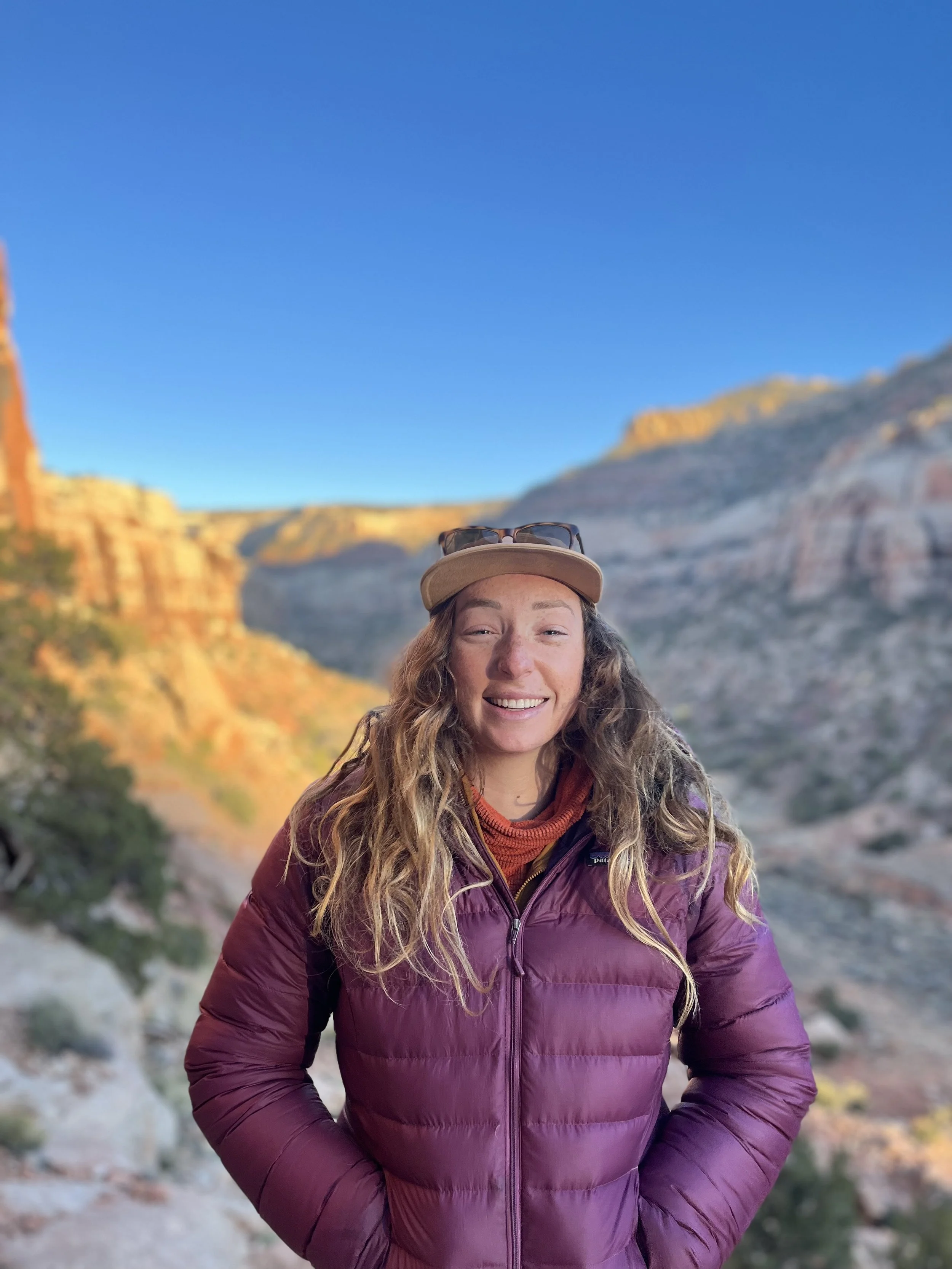 Grant in the Spotlight: Wyss Scholars Program
