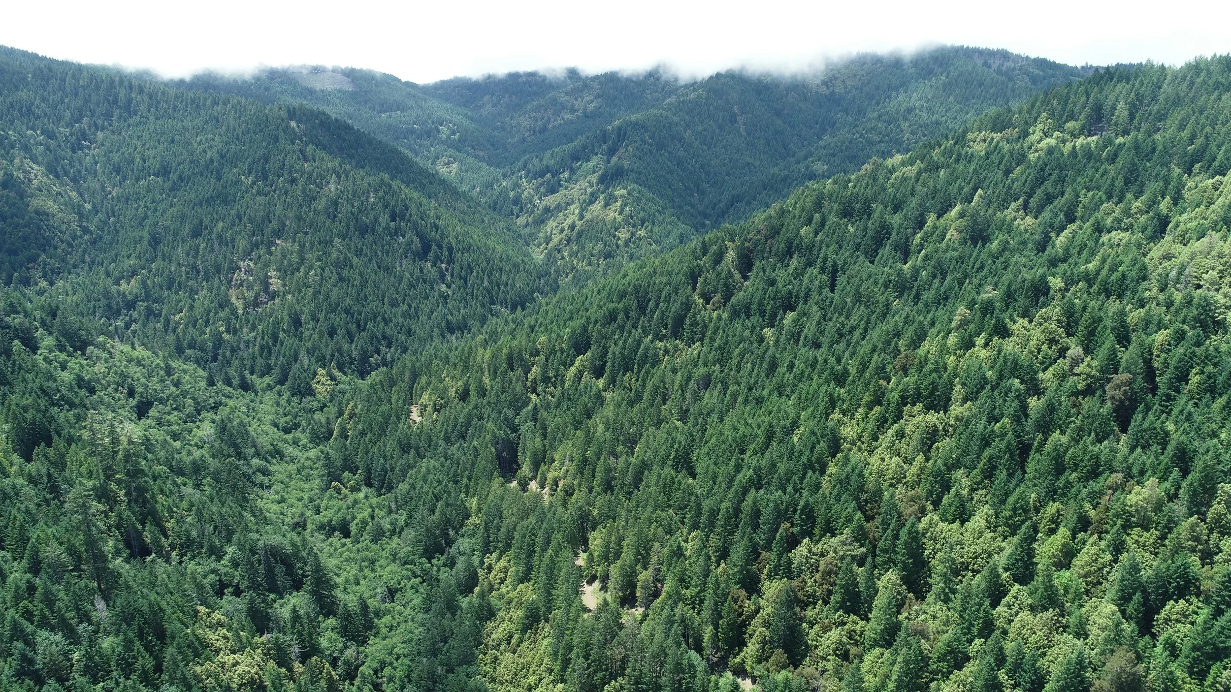 Hupa Mountain and Pine Creek  (United States)