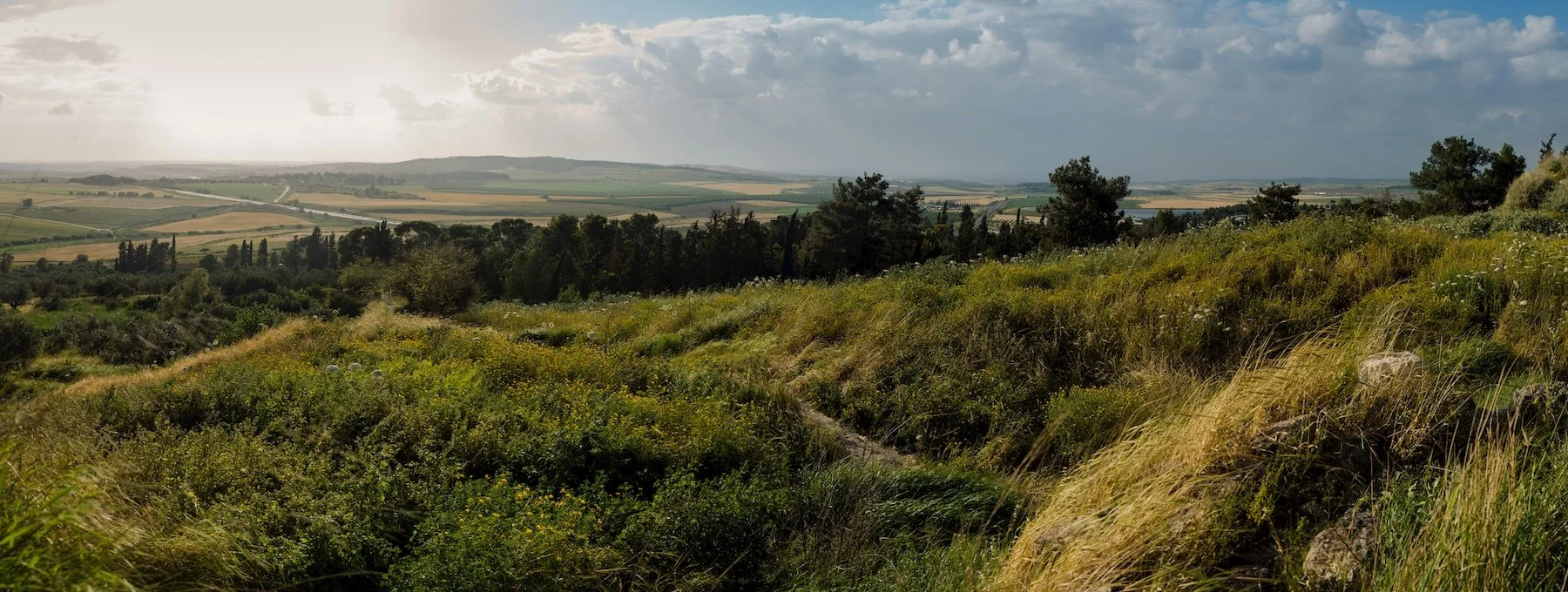 Land conservation 3.jpg