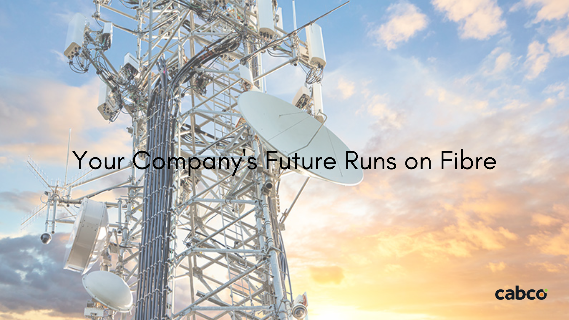 Products and Services | Contract Services — Cabco
