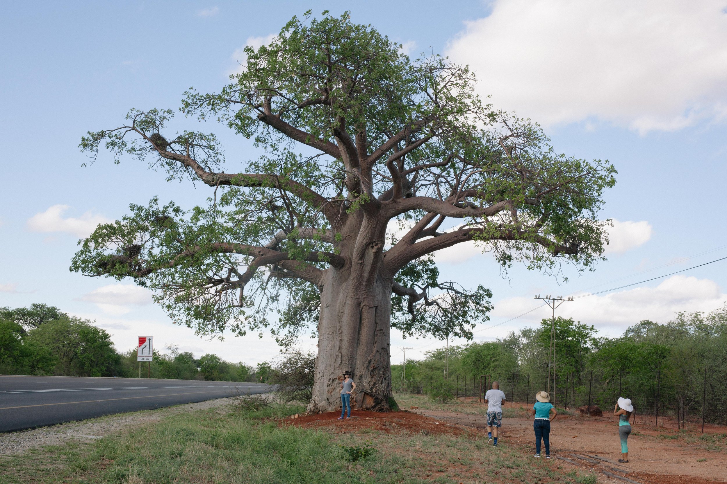 Rudeboy Kollective-45.JPG