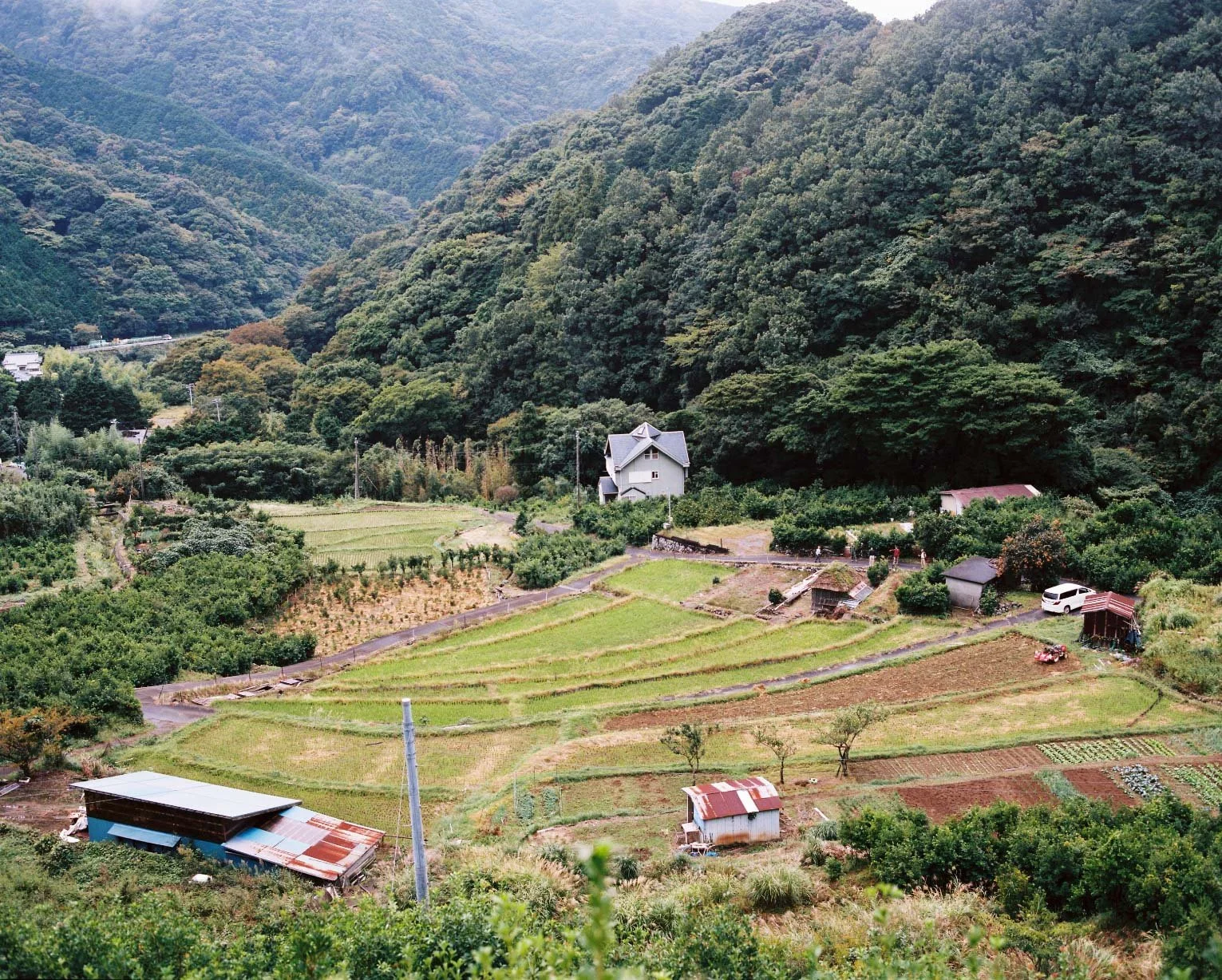 Japan (1 of 1)-5.JPG