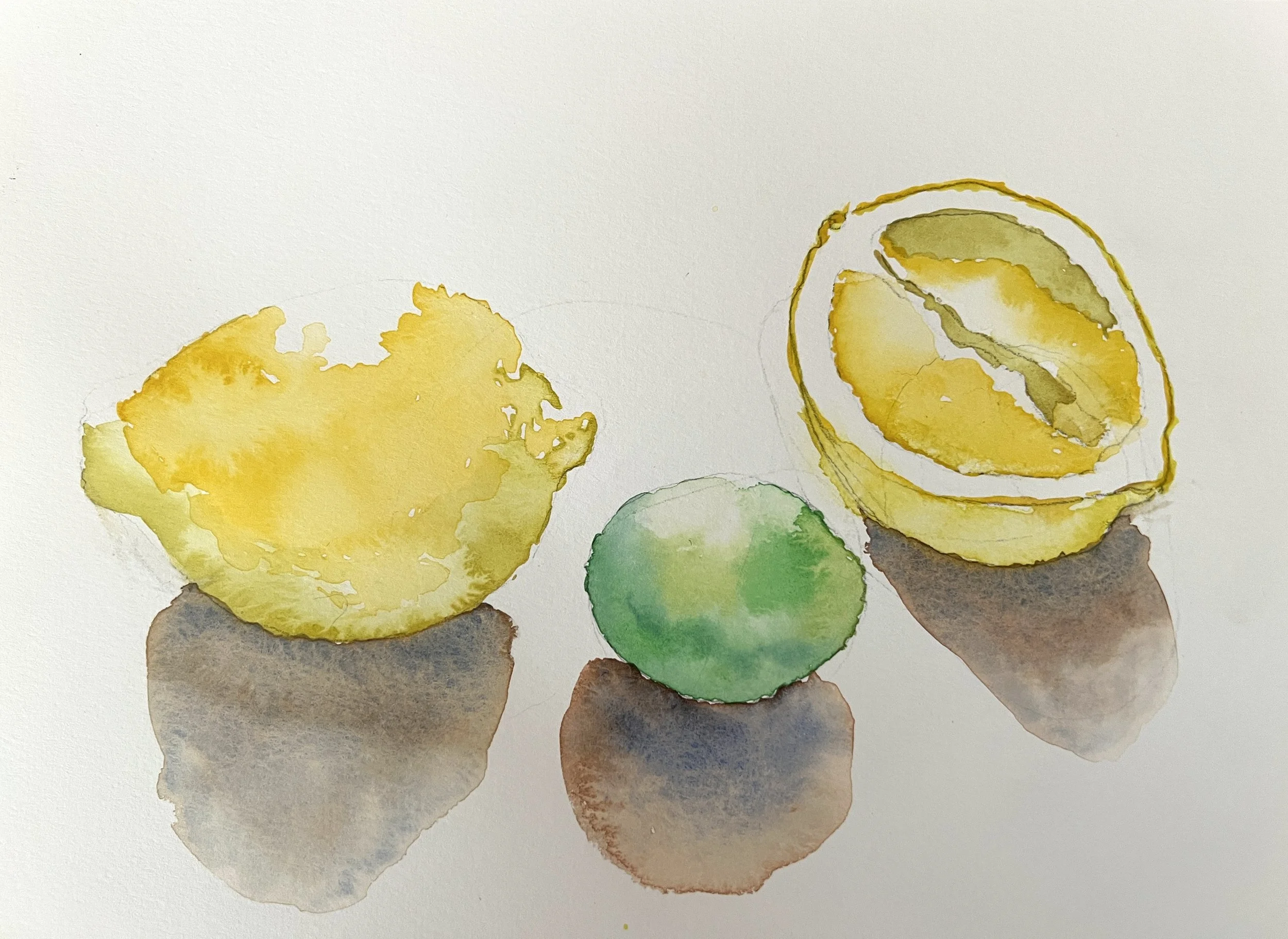 Kitchen Table Still Life Series