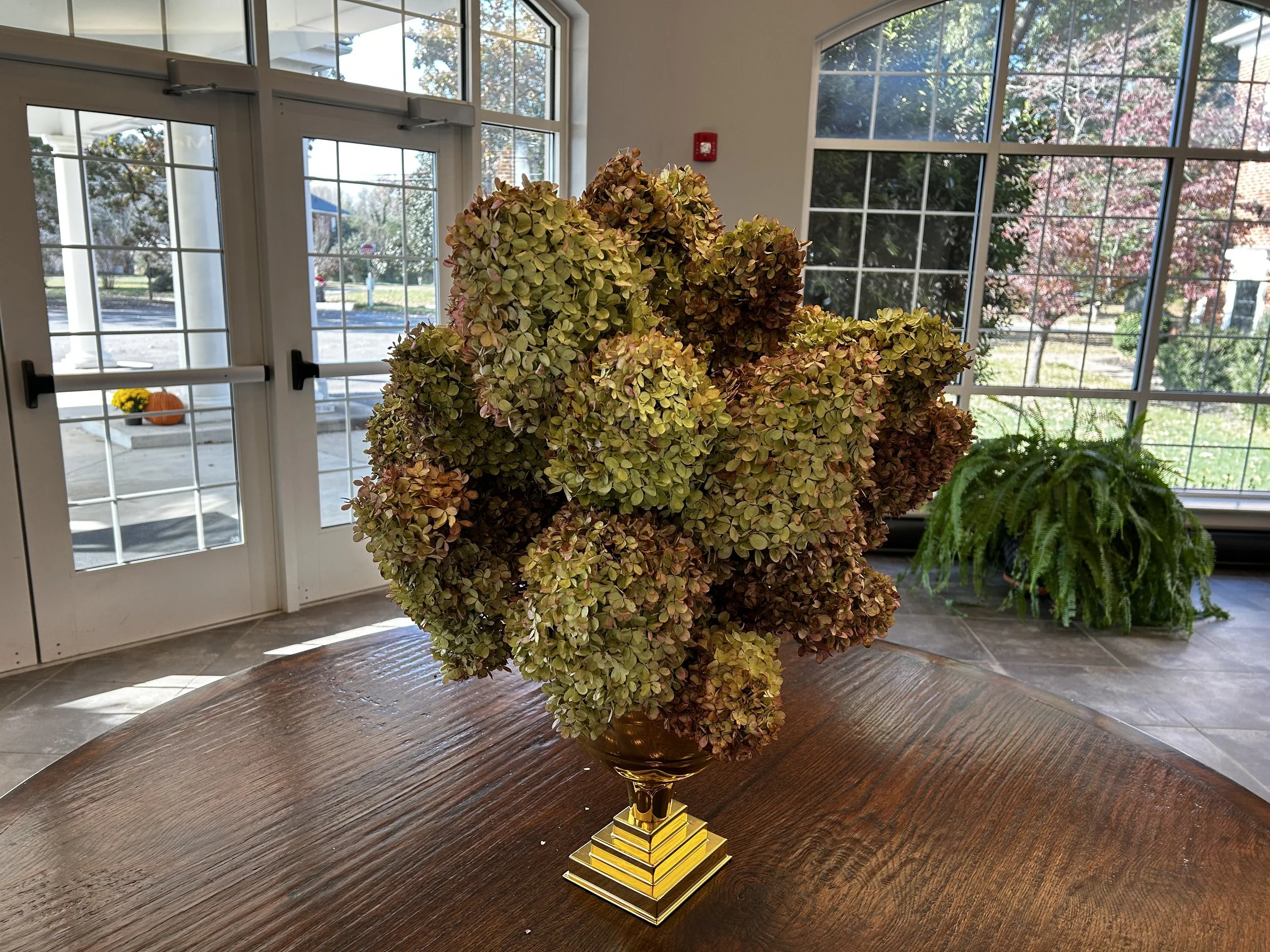 How Churches are Like Hydrangeas and What Makes May Memorial Unique