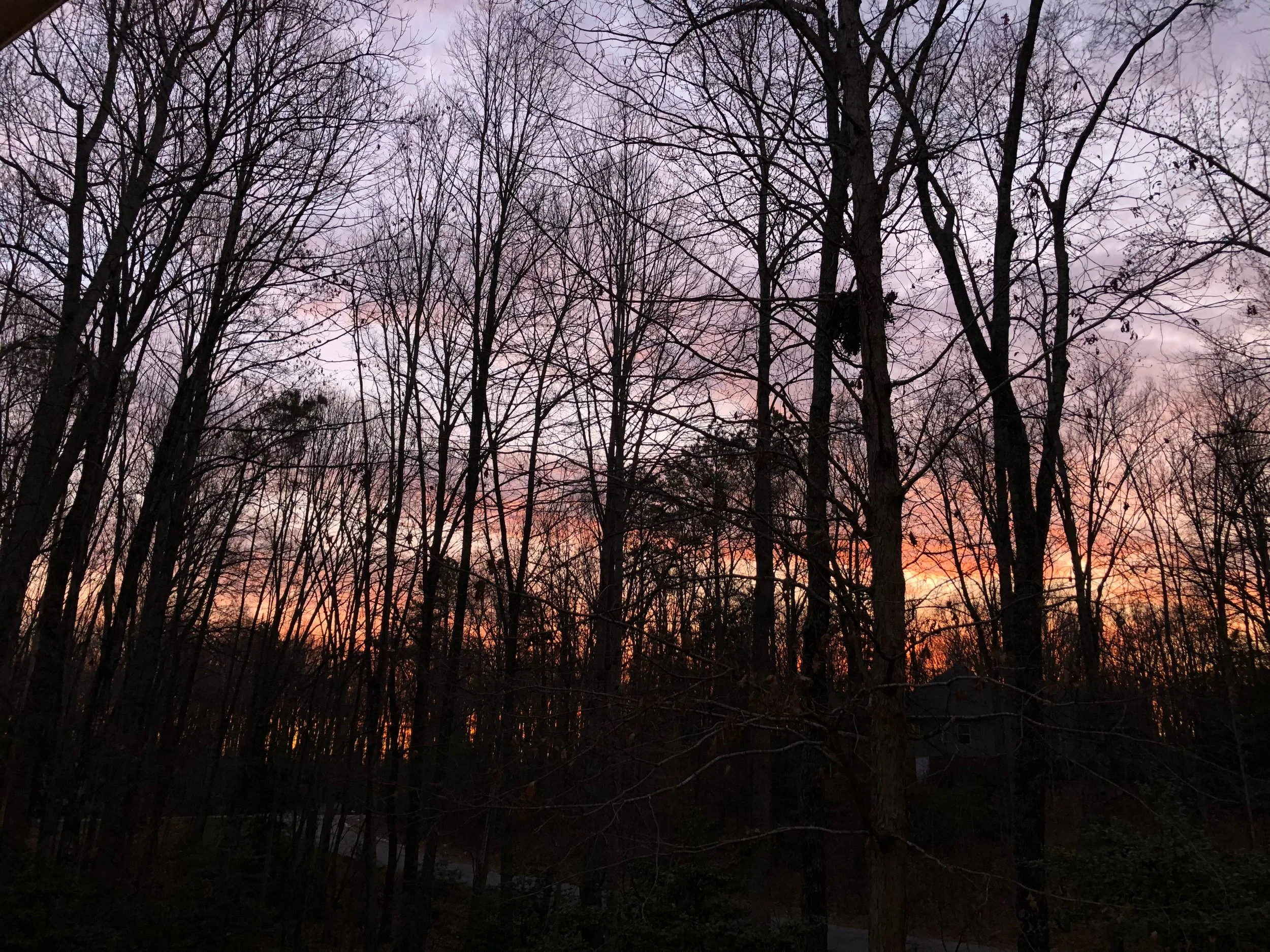 Light in the Darkness