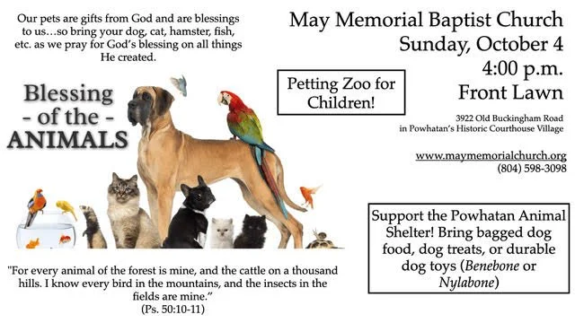 blessing 0f animals.jpg
