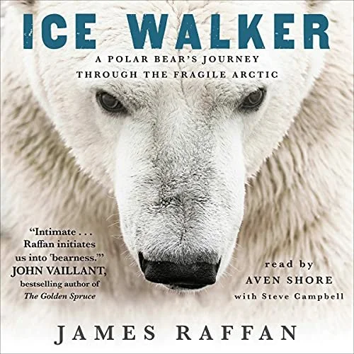 Ice Walker.jpg
