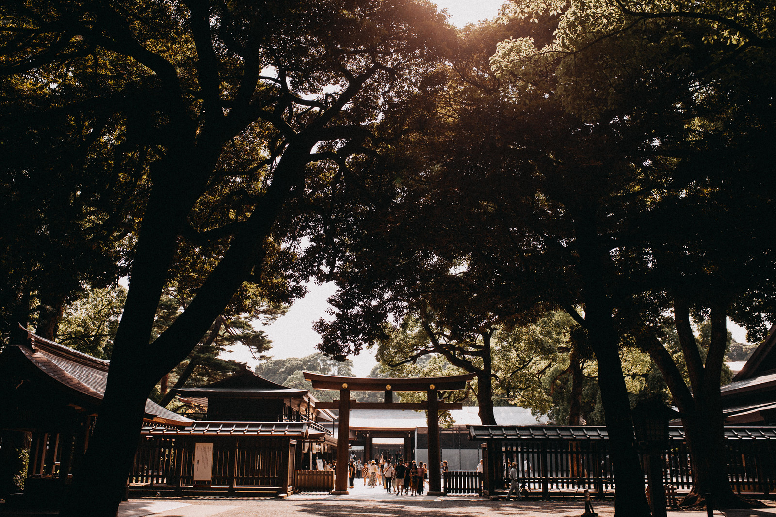 View of Meiji Jingu Shrine. Reasons why to visit Tokyo Japan include this beautiful place