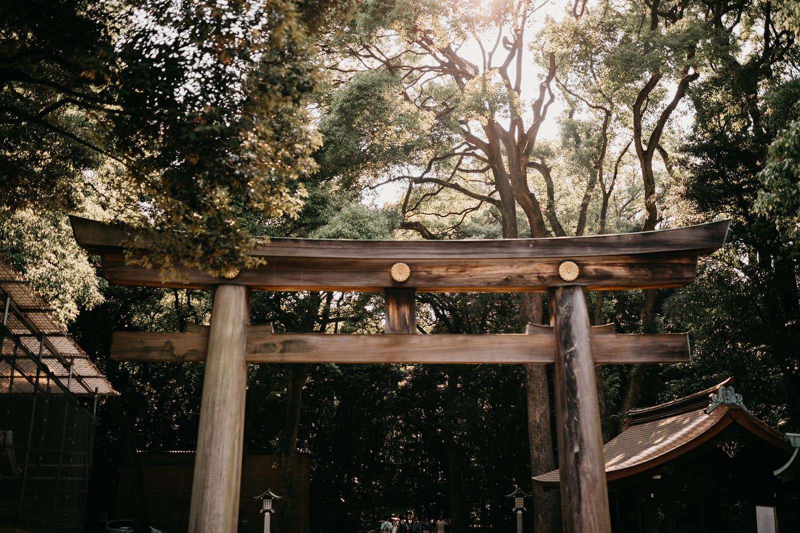 Entrance of Meiji Jingu Shrine in Yoyogi Park Tokyo Japan surrounded by forest