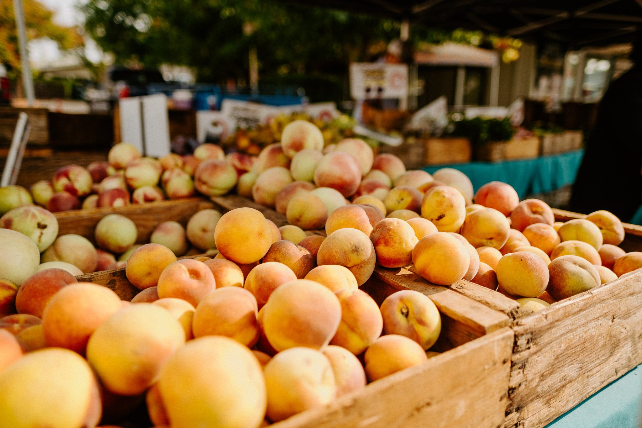 pleasanton-farmers-market-peaches.jpg