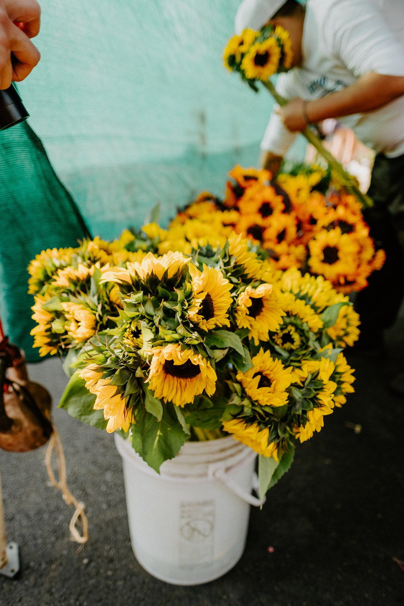 pleasanton-farmers-market-sunflowers.jpg