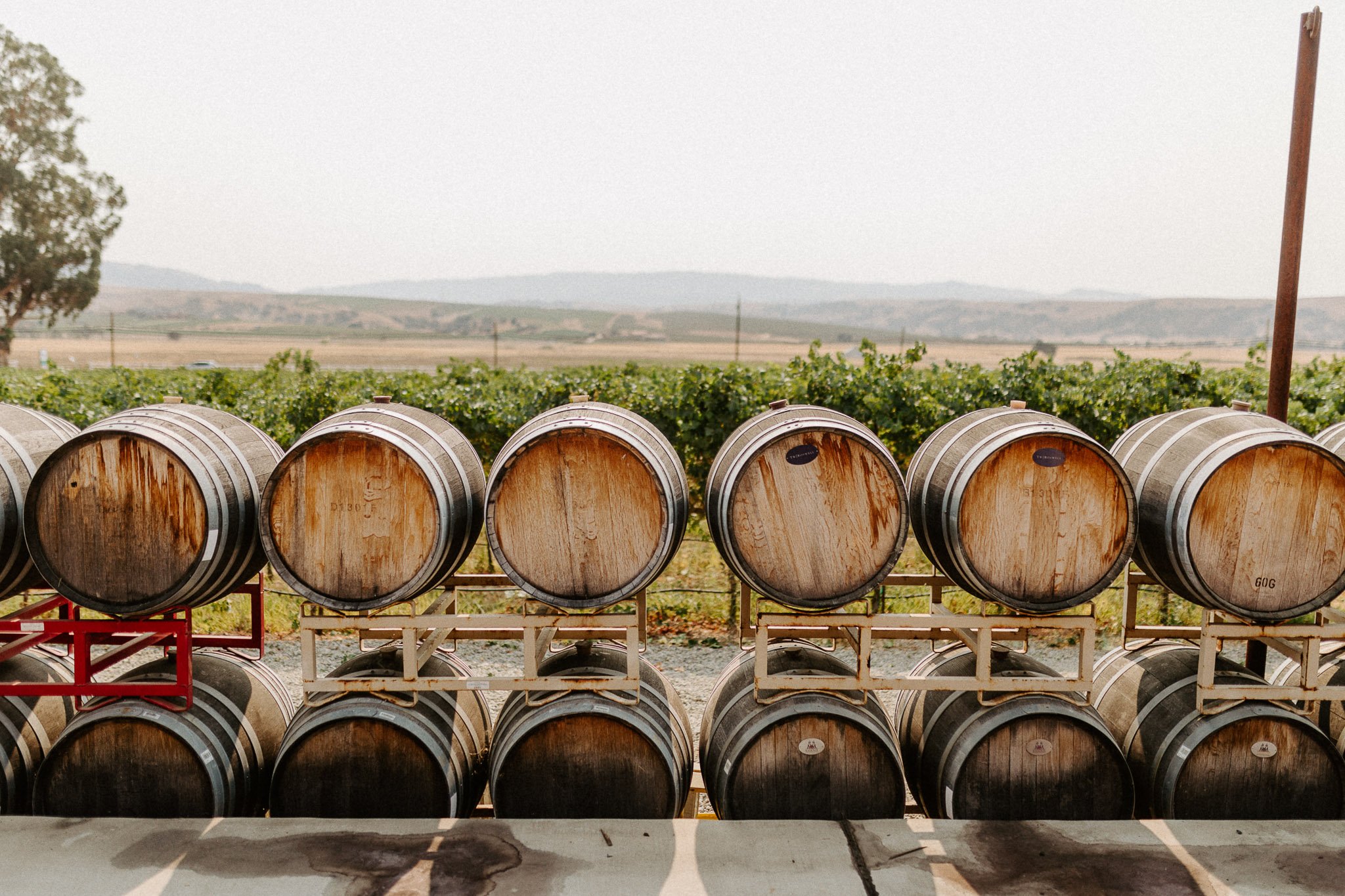Darcie-Kent-Vineyards-barrels.jpg