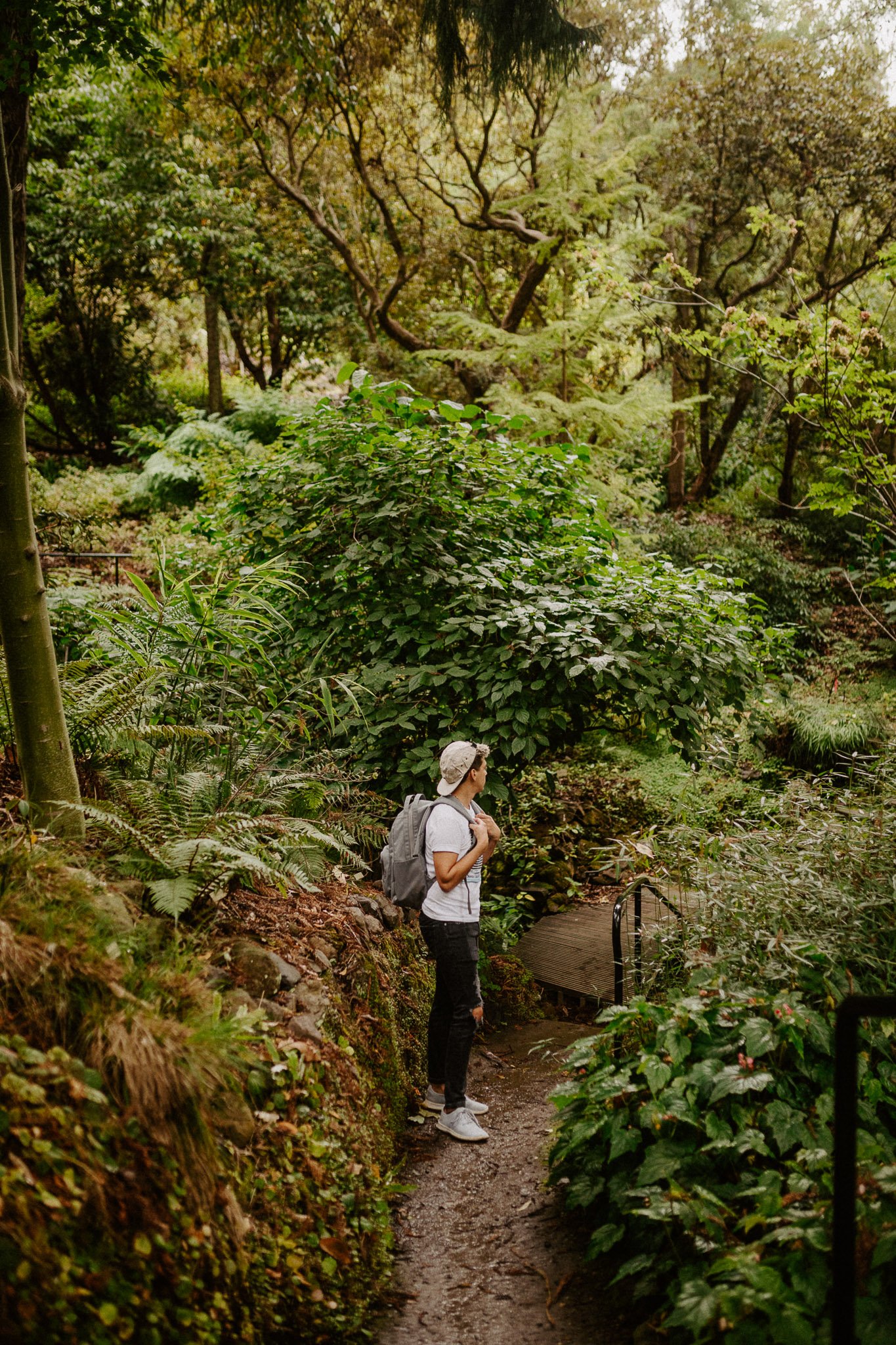 UC-Botanical-Garden-Berkeley-forest.jpg