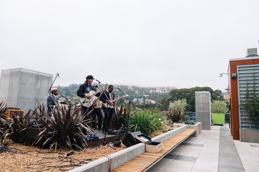 Study-Hall-rooftop-bar-Berkeley-11.jpg