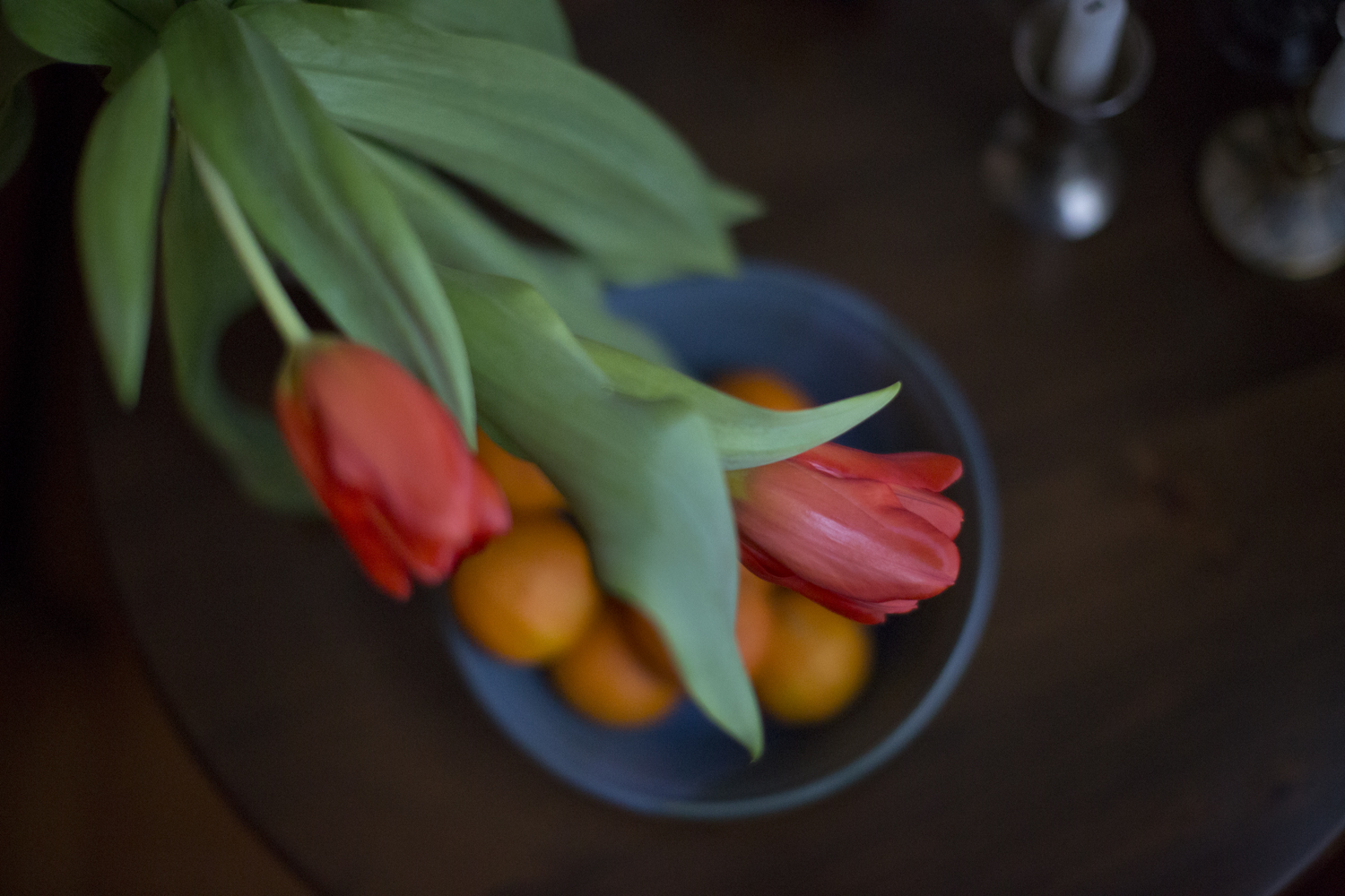 tulips_from_a_friend_3912.jpg