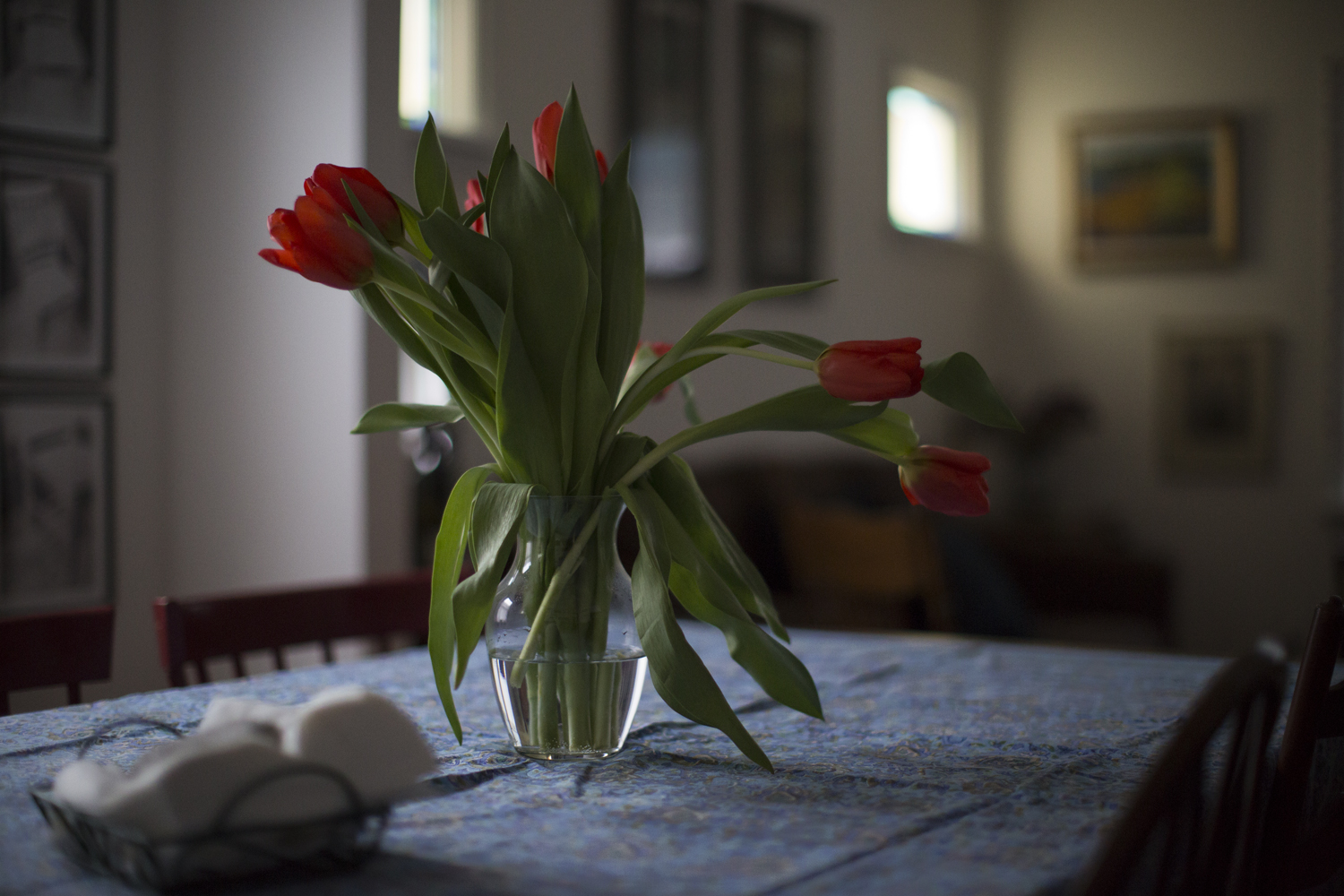 tulips_from_a_friend_3934.jpg