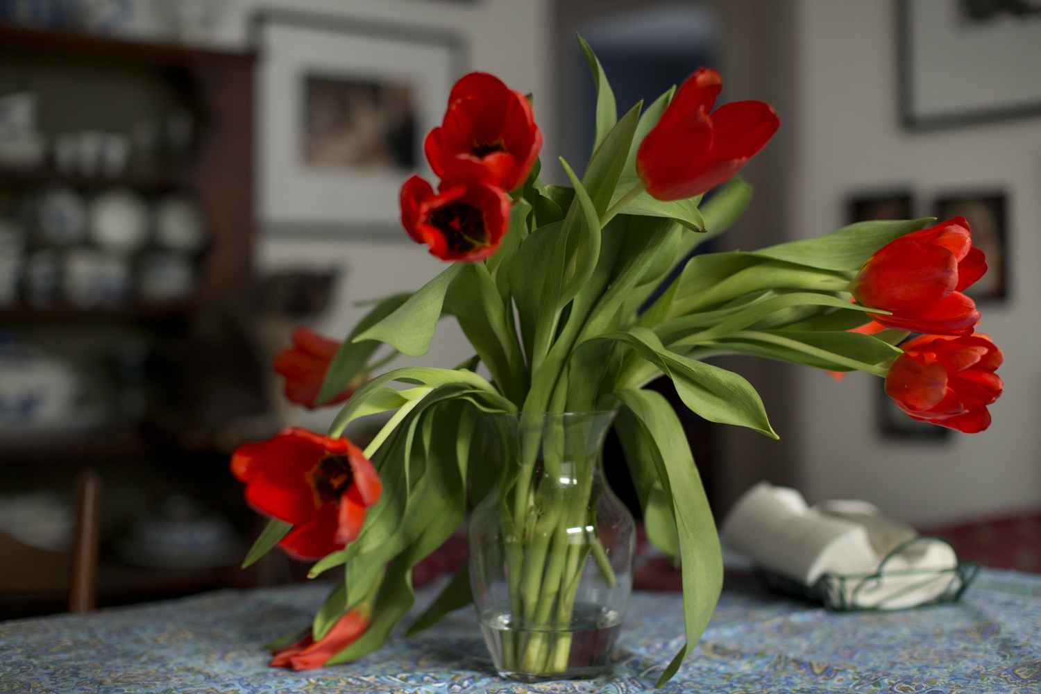 tulips_from_a_friend_4044.jpg