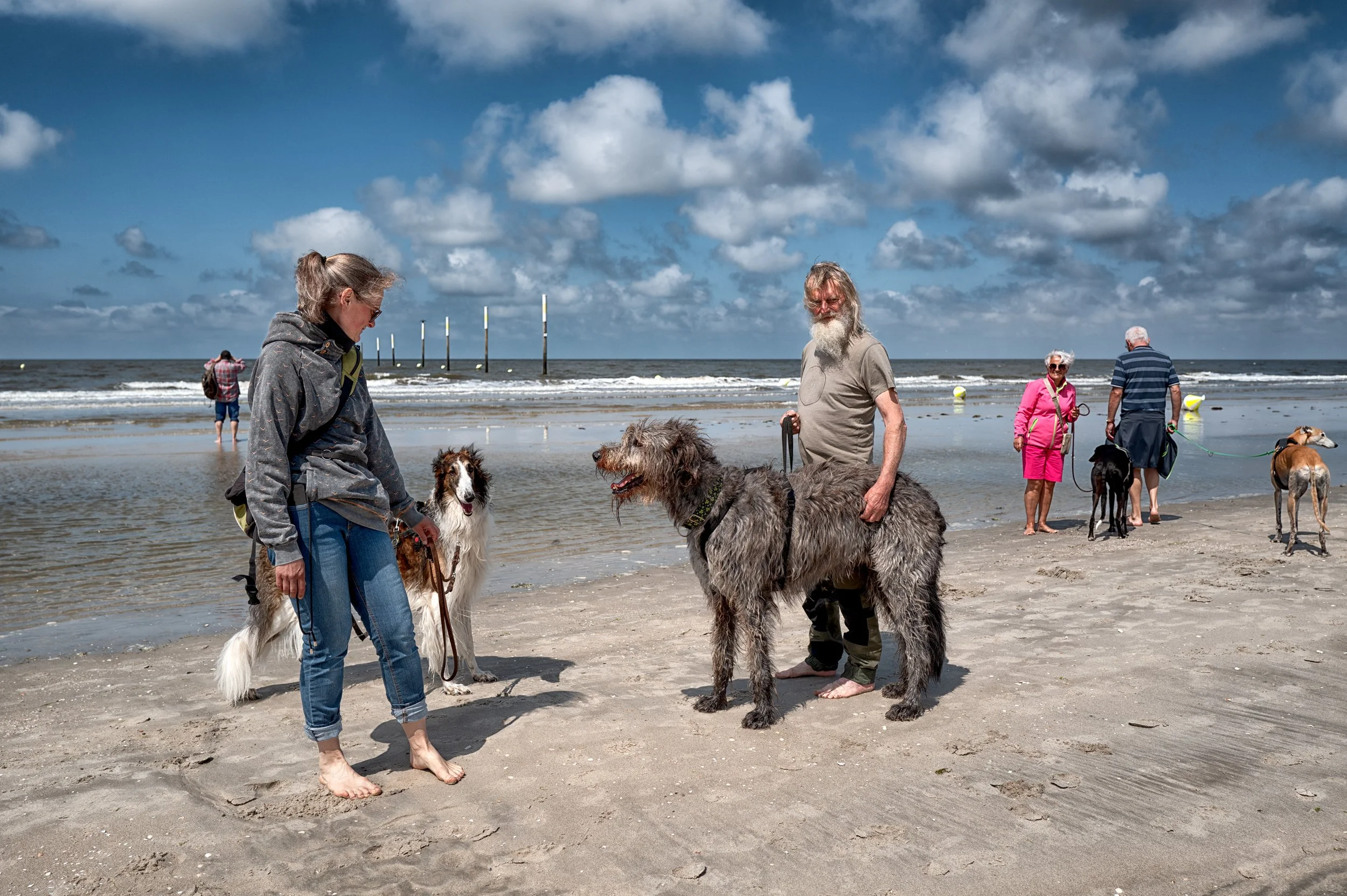 saint_peter_ording_with_dogs_NIK7_filters_color_1990.jpg
