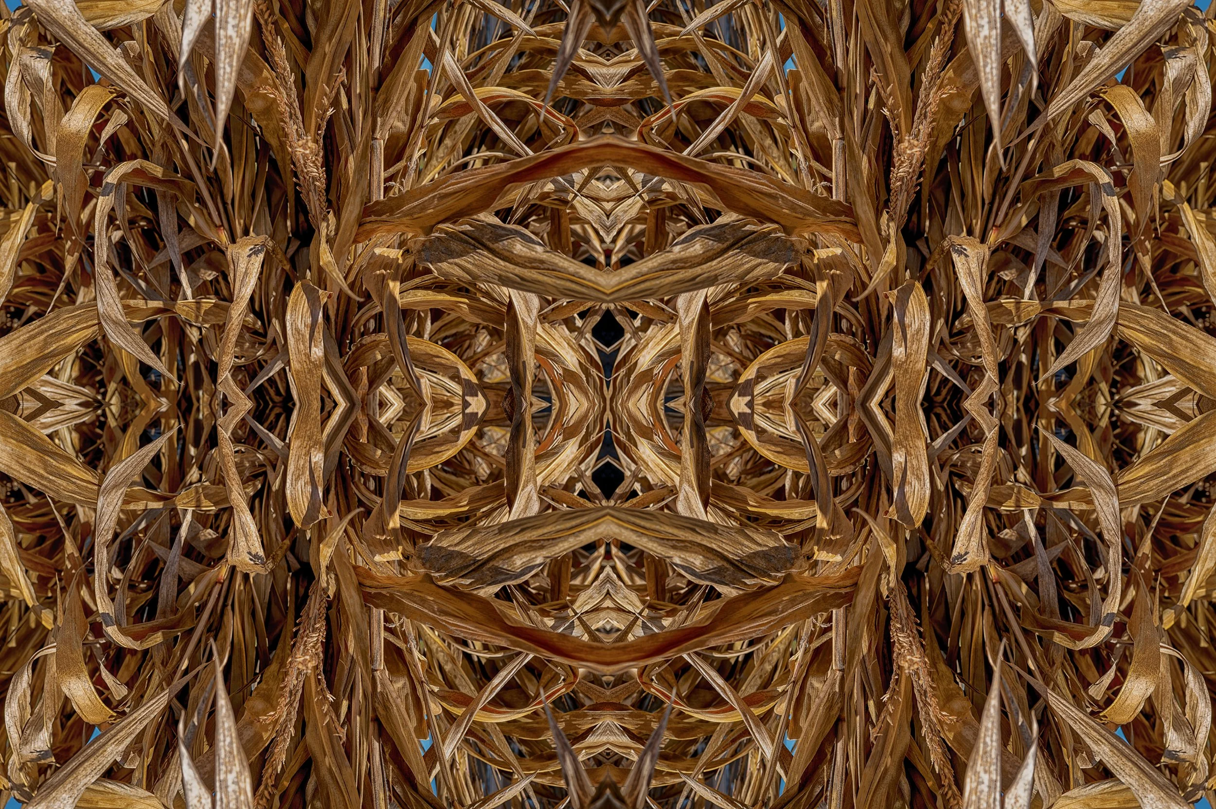 CORNSTORKS_kaleidoscope_FLATTEN_NIK8_color_plus_black_4834.jpg