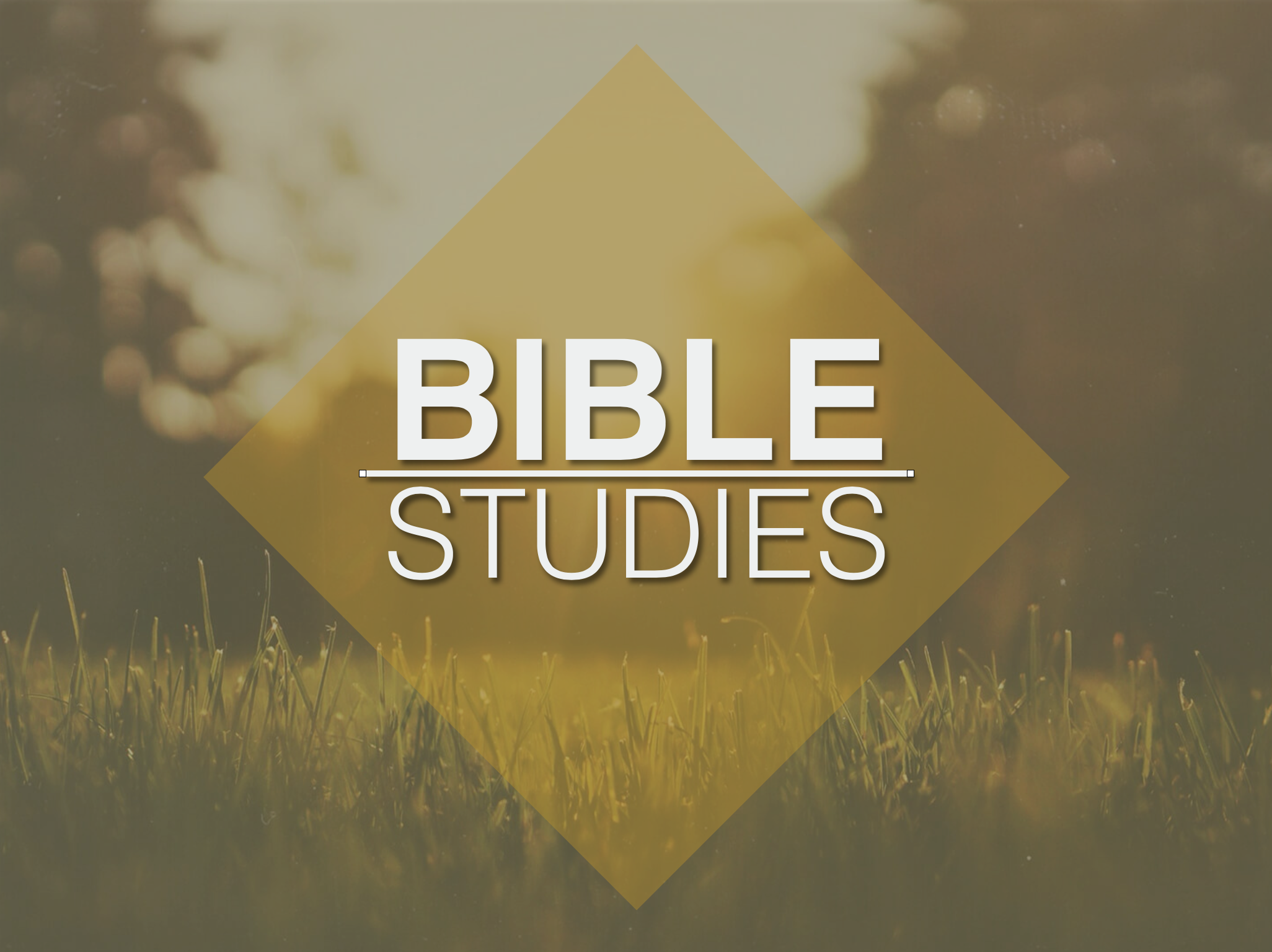 Screen Shot 2022-04-13 at 3.20.28 PM.png