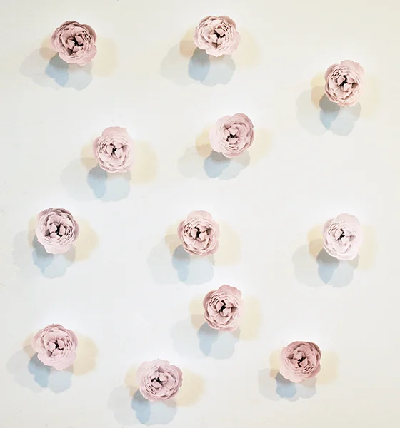 rose_2011.jpg