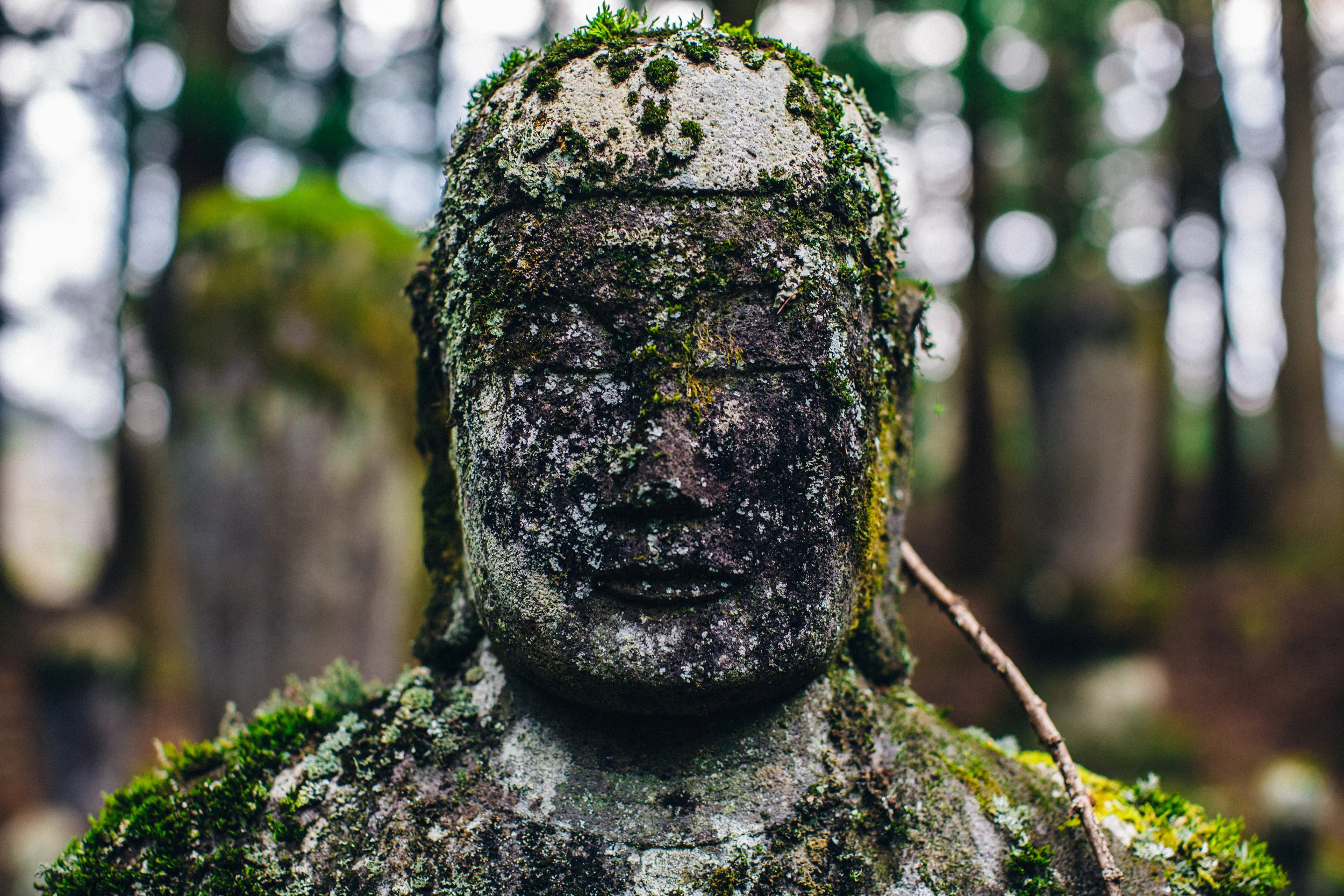 BUDA-BB.jpg