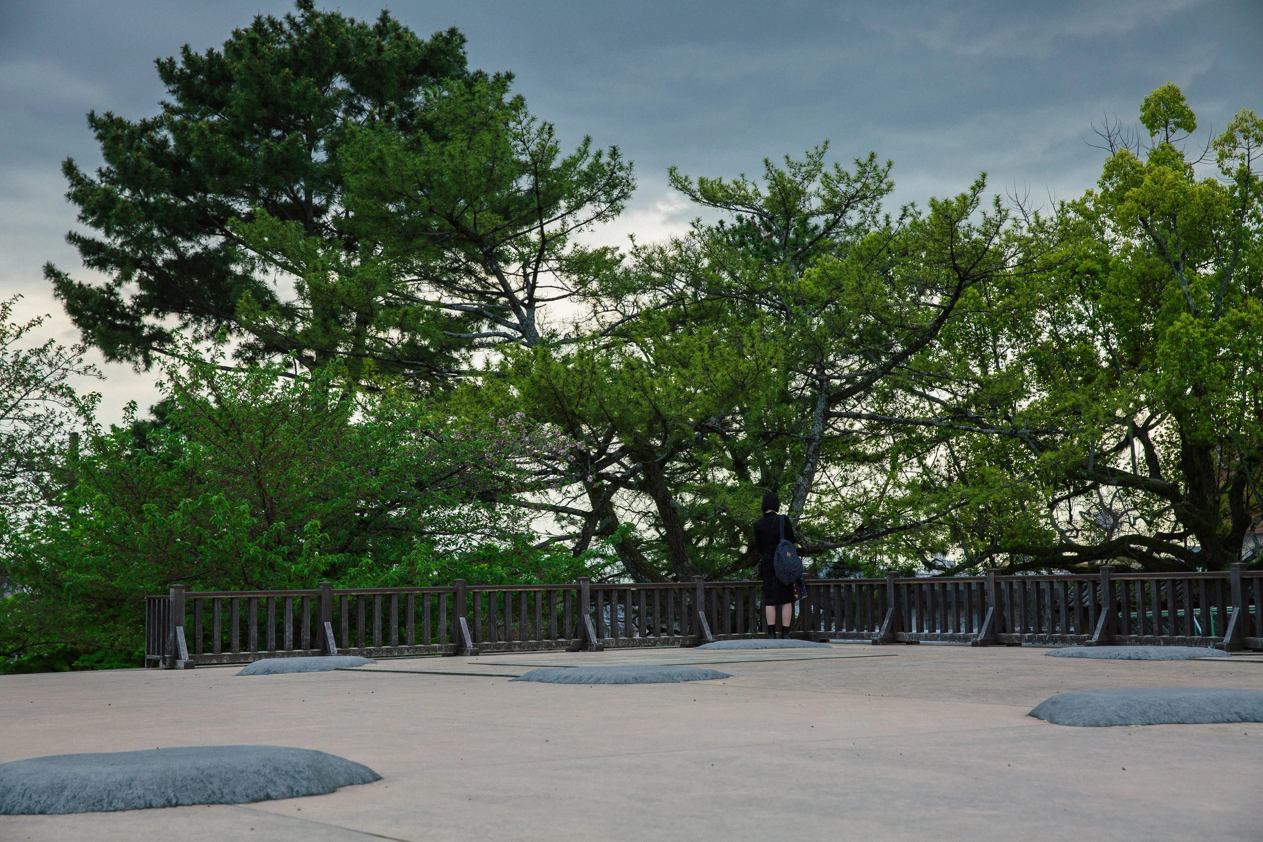 NARA LONER.jpg