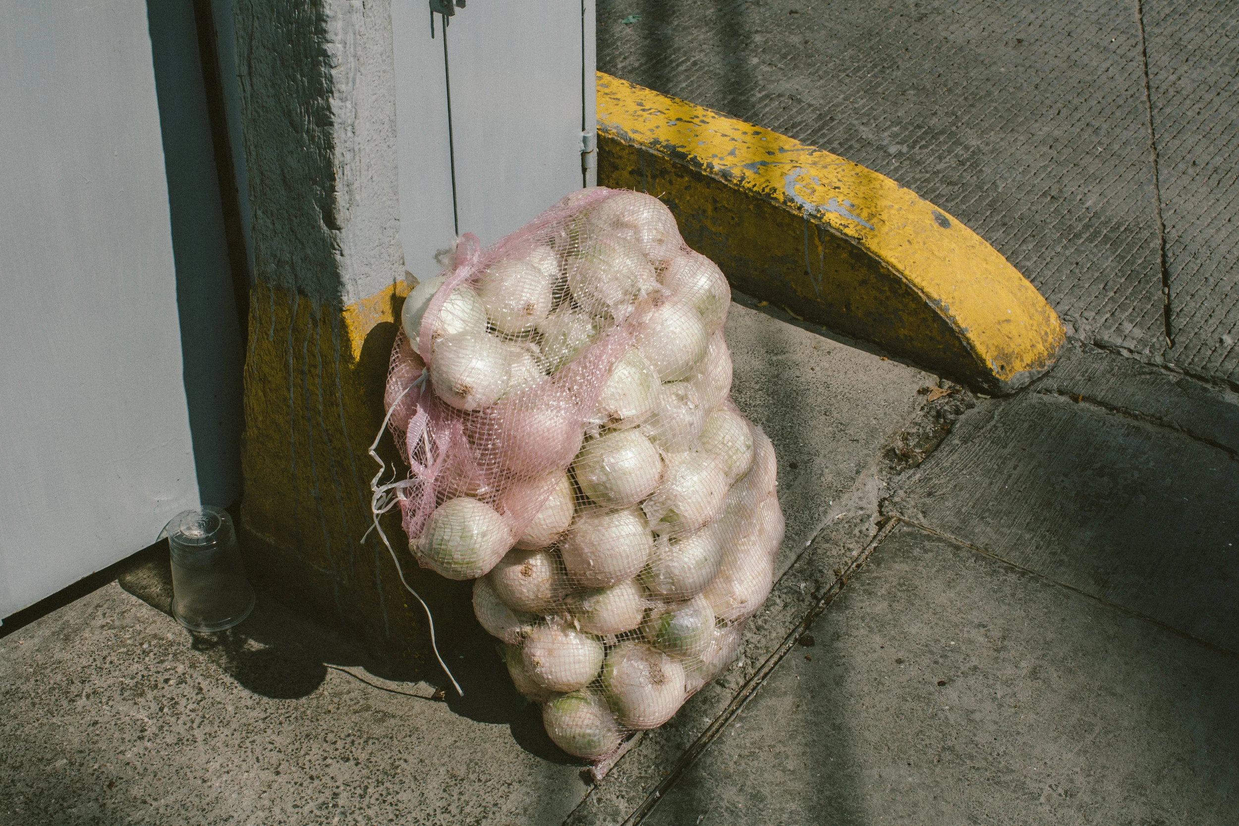 TEMPORAL EXPODerma.c.jpg